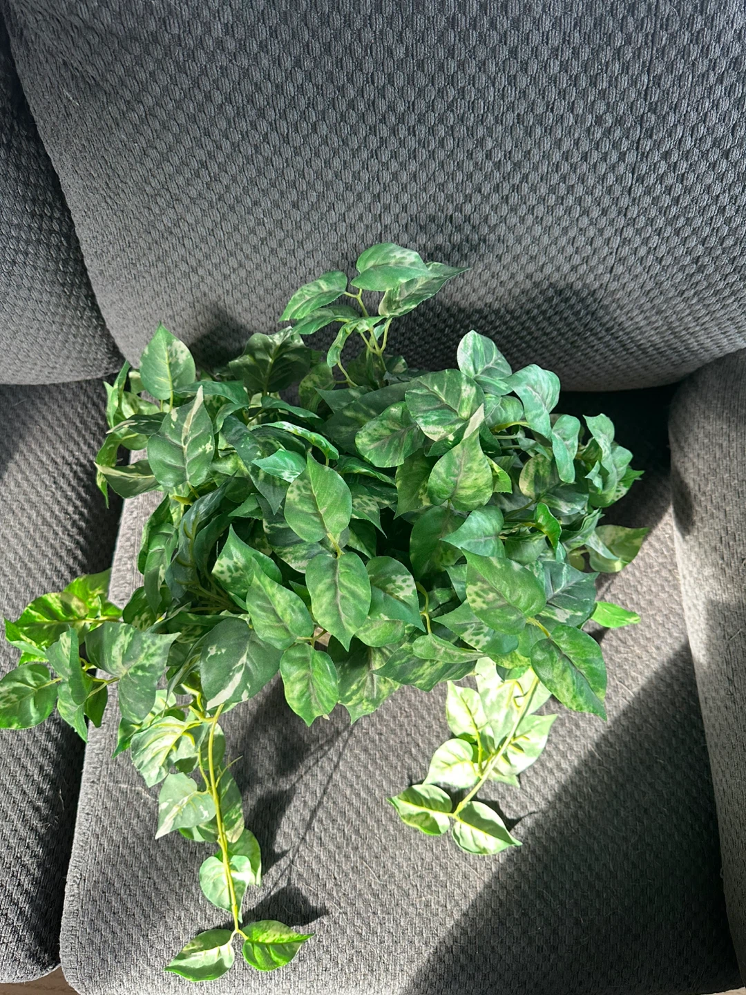 Artificial Pothos Plant in Pot - photo 2