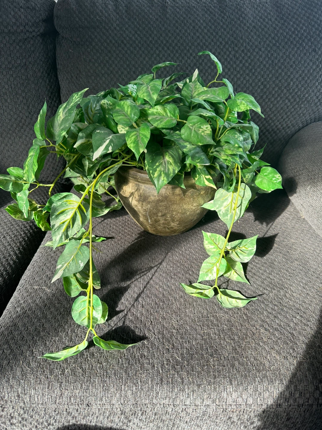 Artificial Pothos Plant in Pot