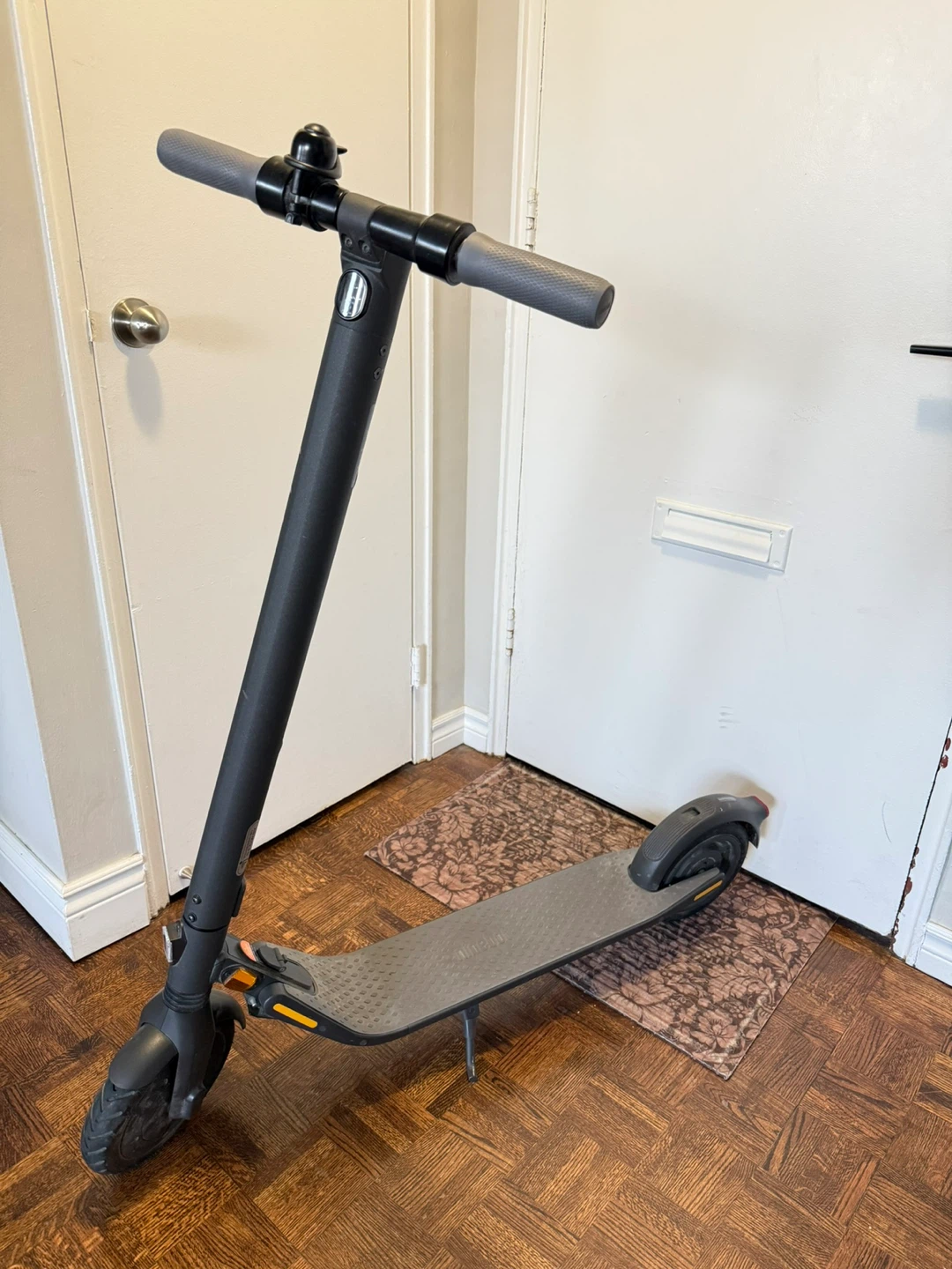 Ninebot Electric Scooter