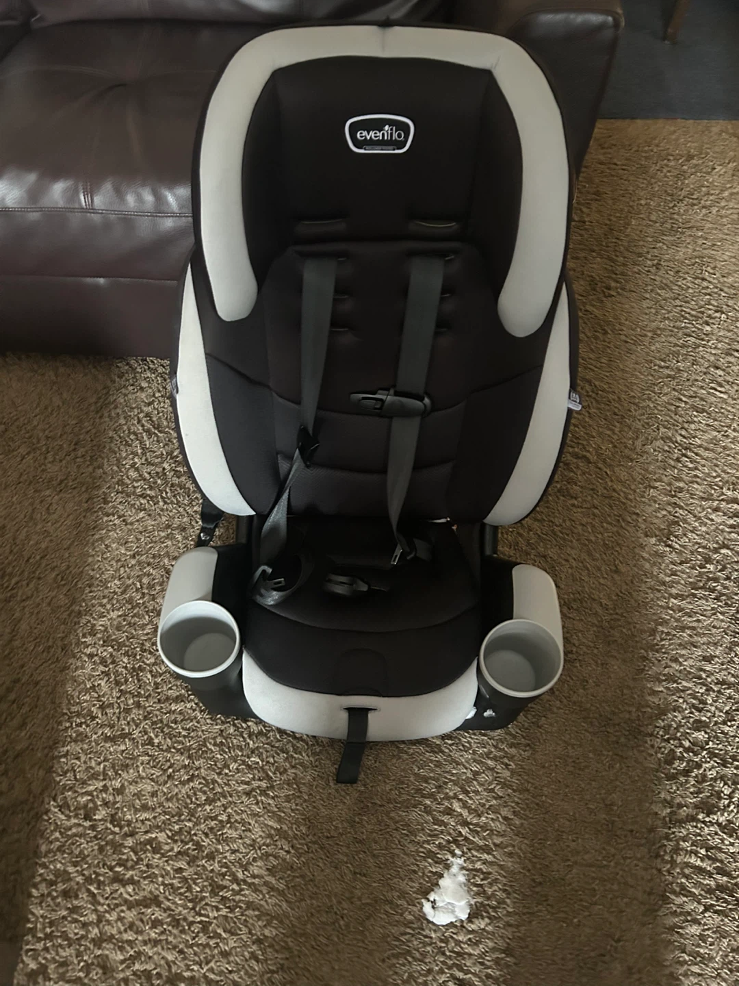 Evenflo Maestro Sport Car Seat