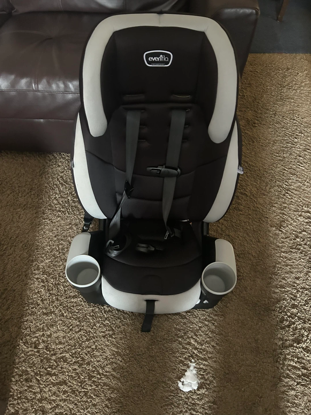 Evenflo Maestro Sport Car Seat - photo 2