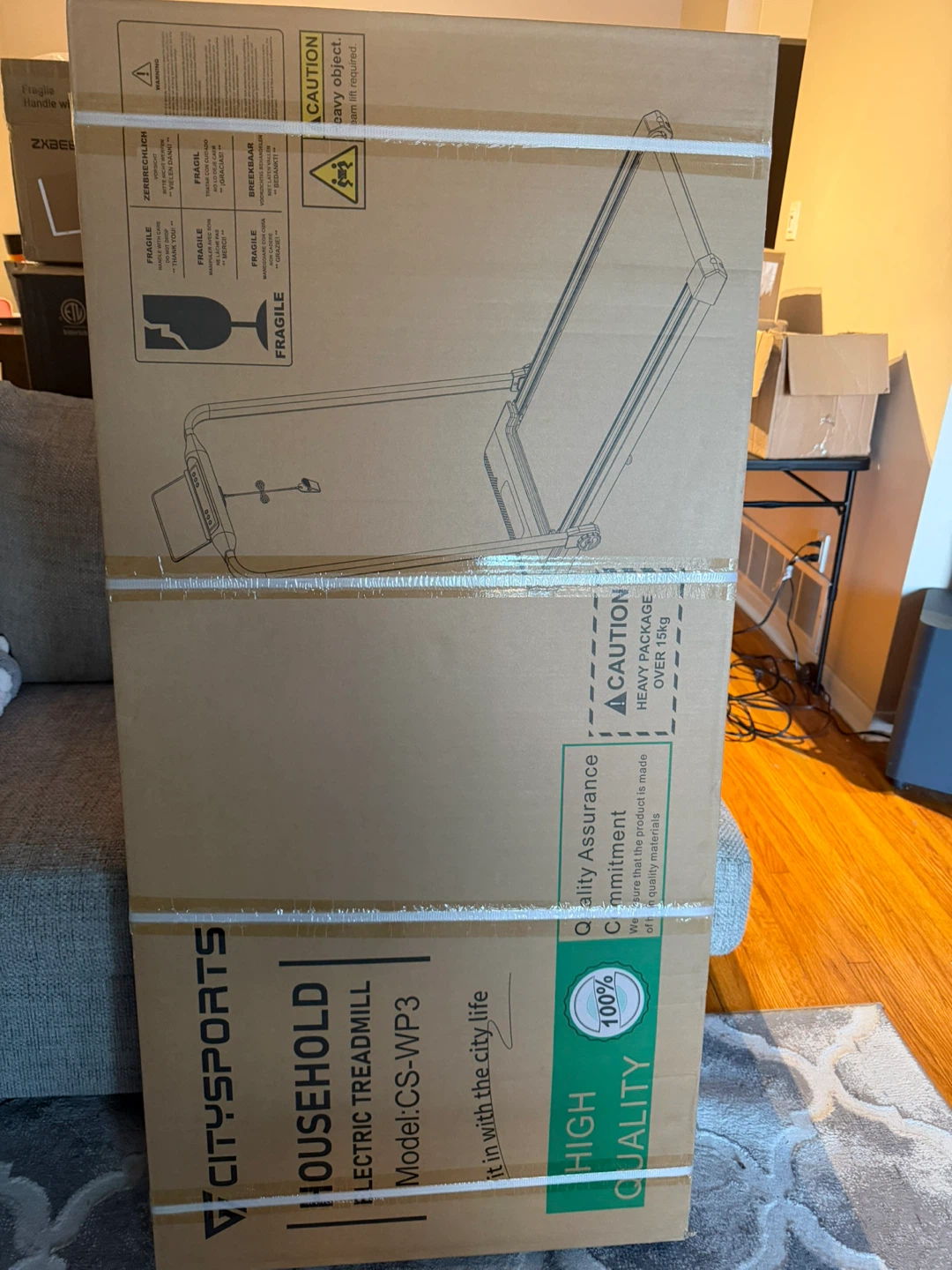 CITYSPORTS Electric Treadmill CS-WP3