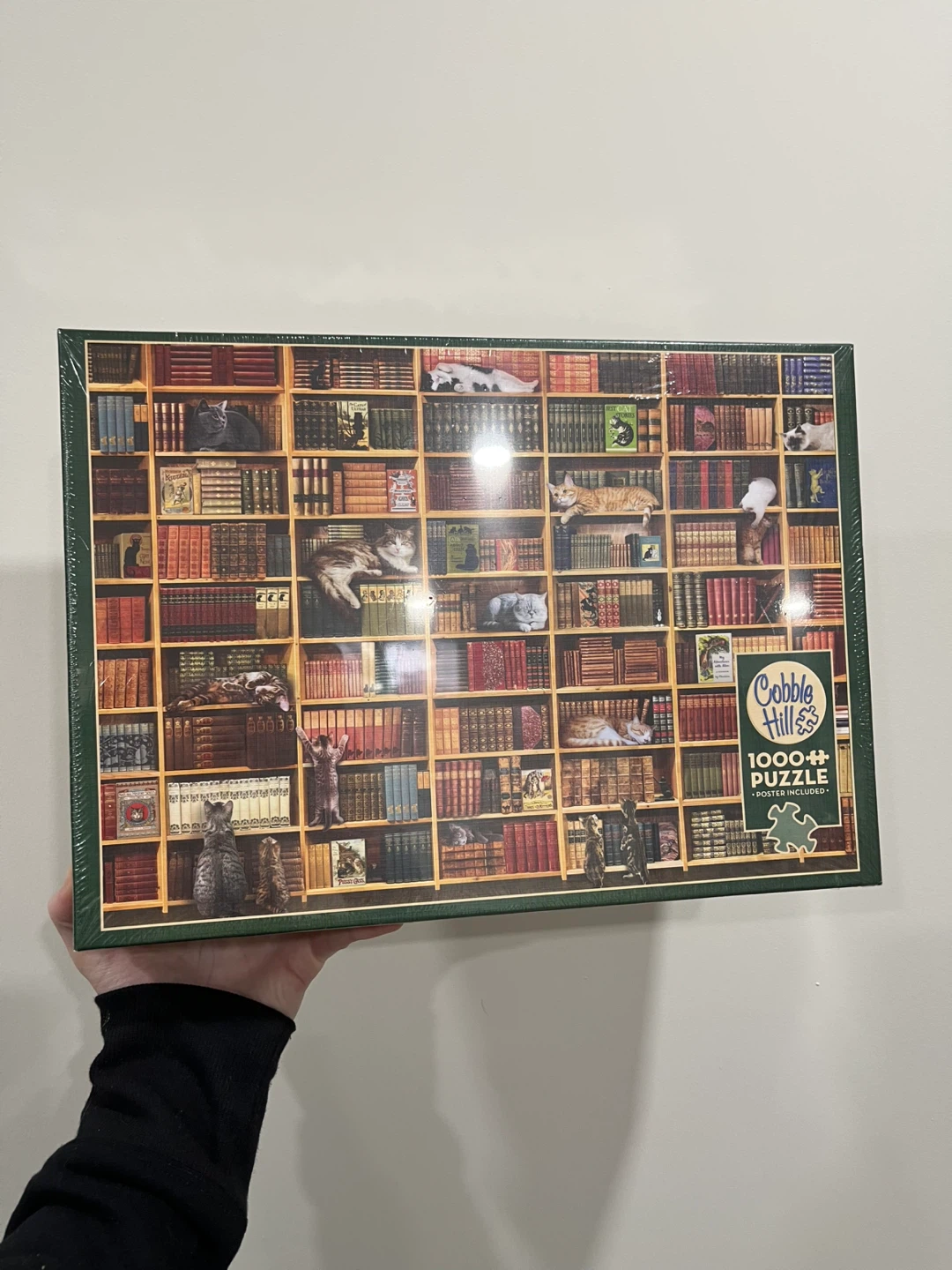 🆕Cobble hill cat library puzzle