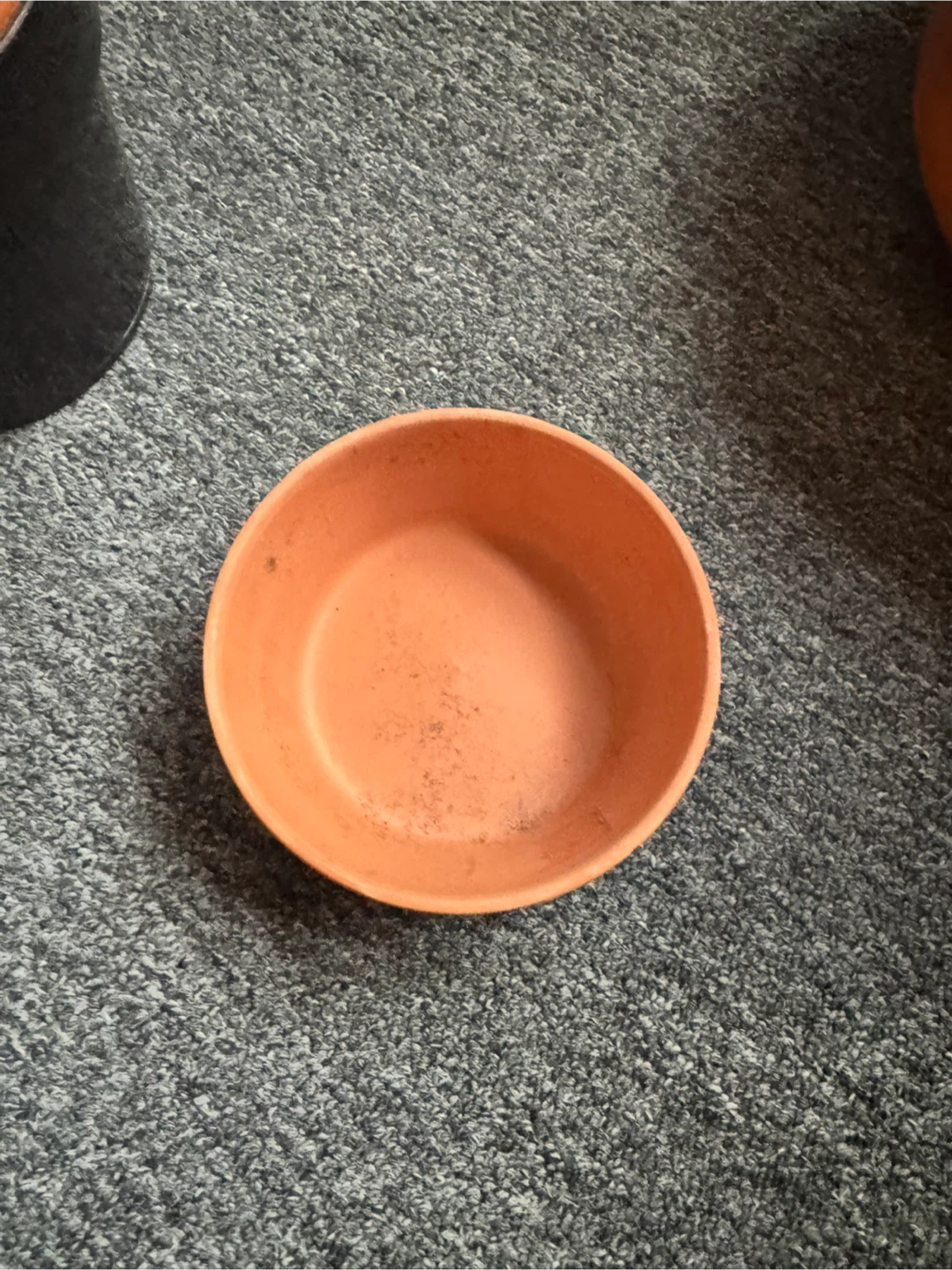Terracotta Pot