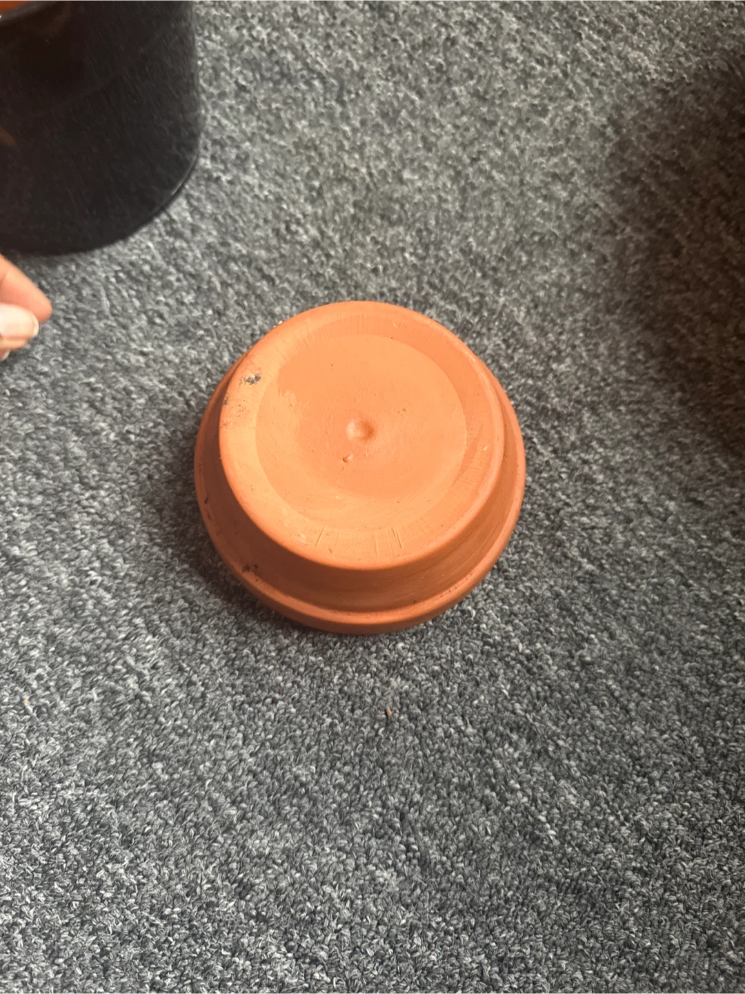 Terracotta Pot - photo 2