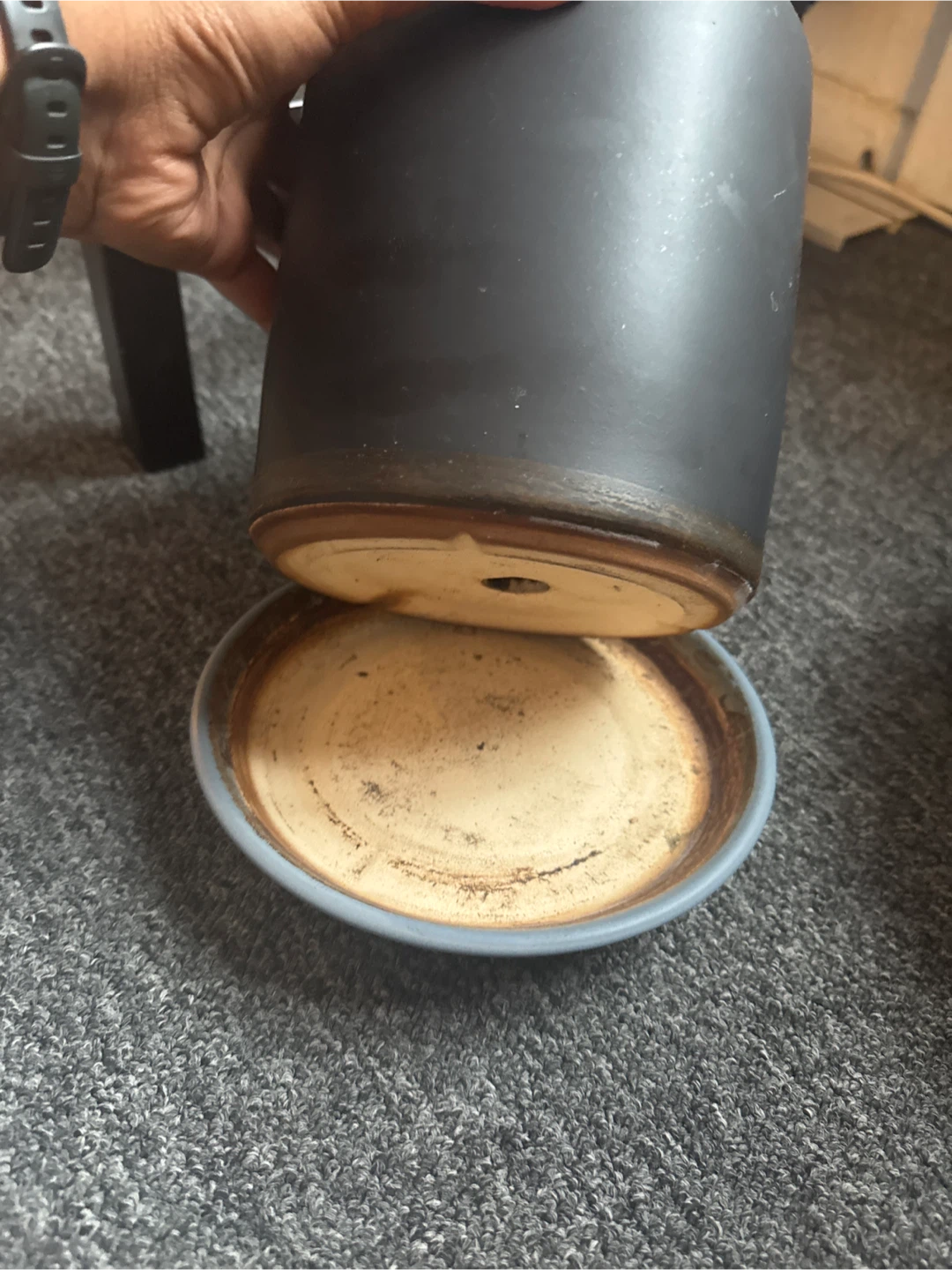 Black Ceramic Pot with Saucer - photo 3