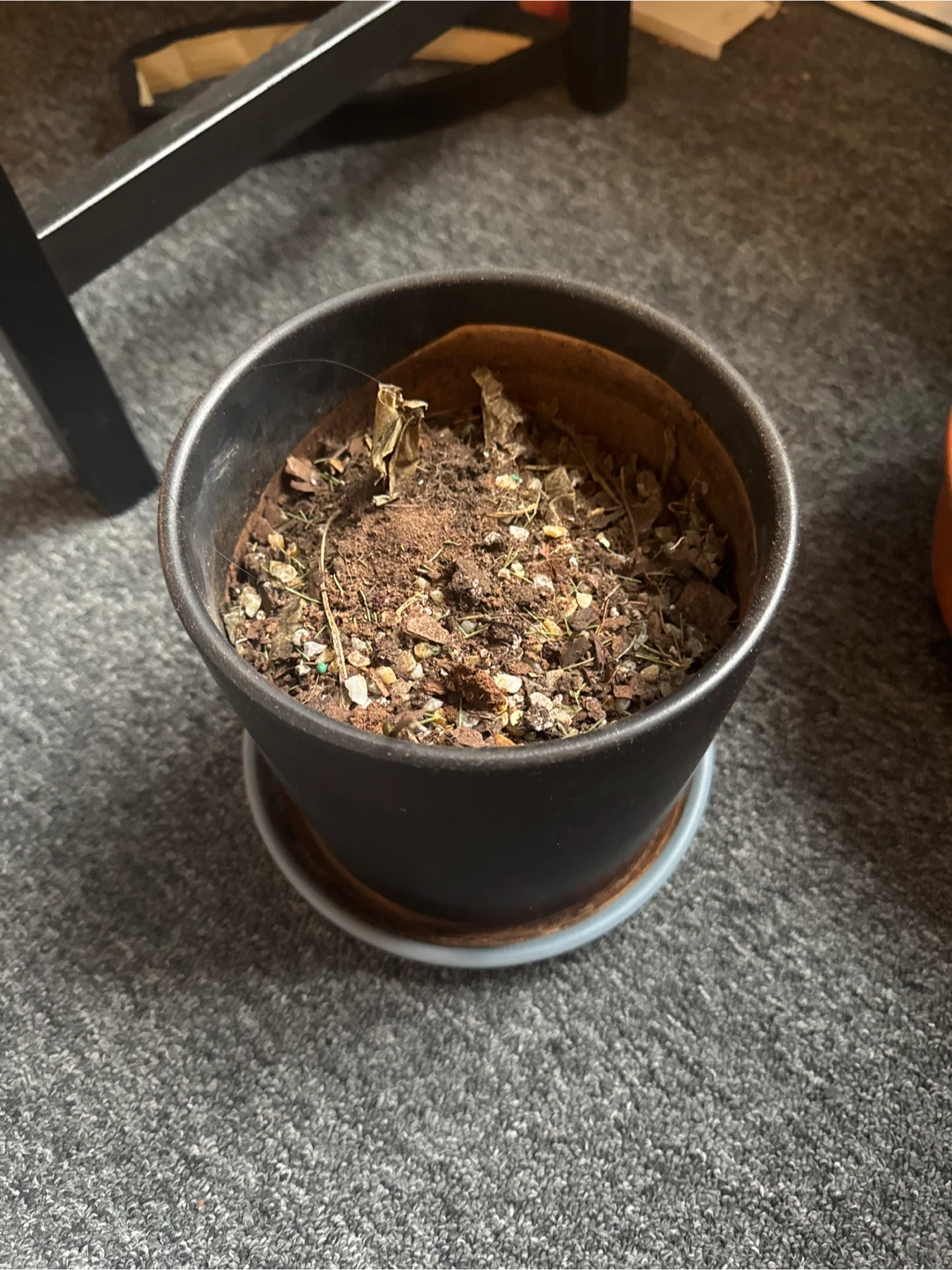 Black Ceramic Pot with Saucer - photo 2