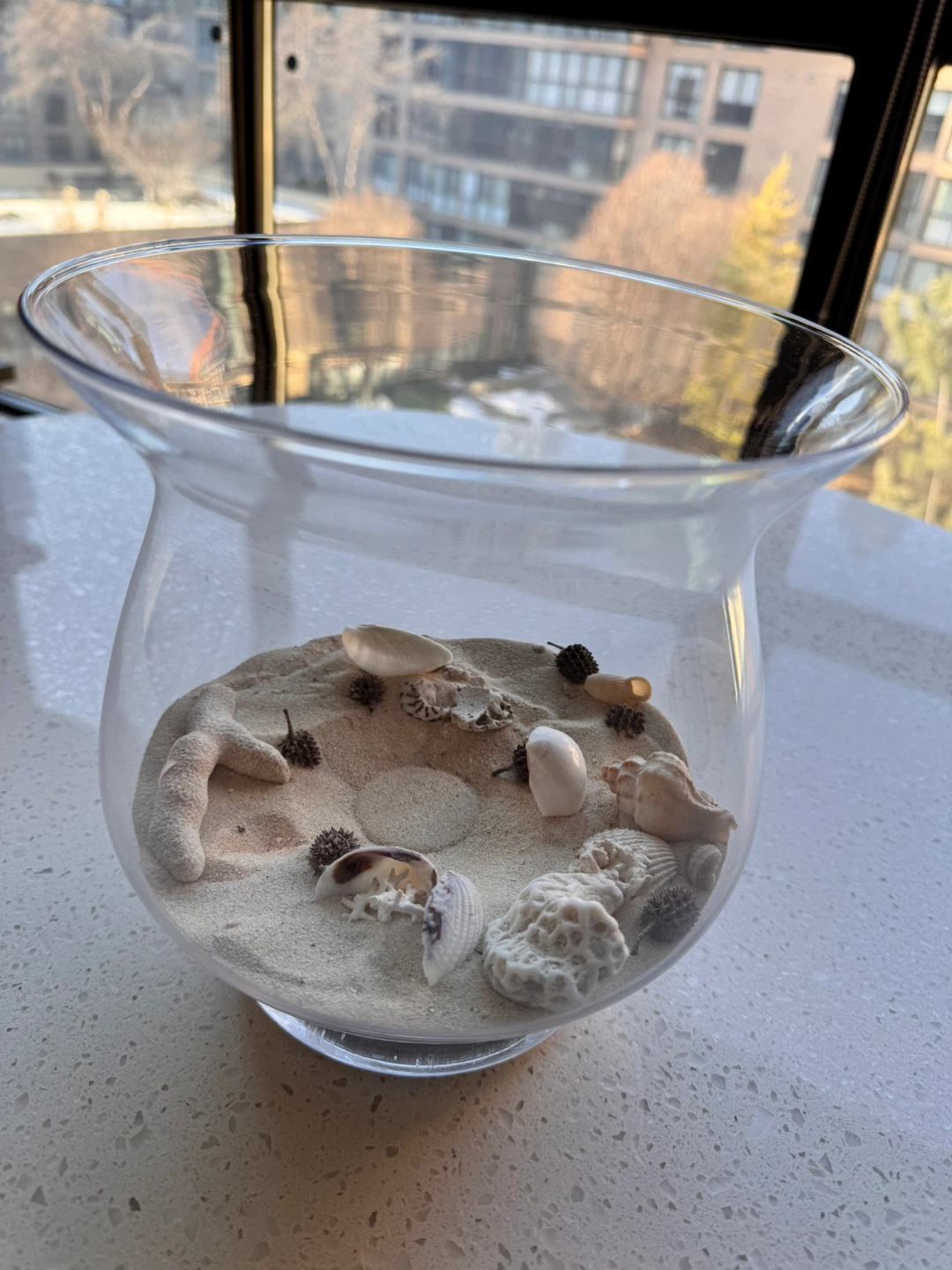 ❤️Clear Glass Vase with Seashells and Sand