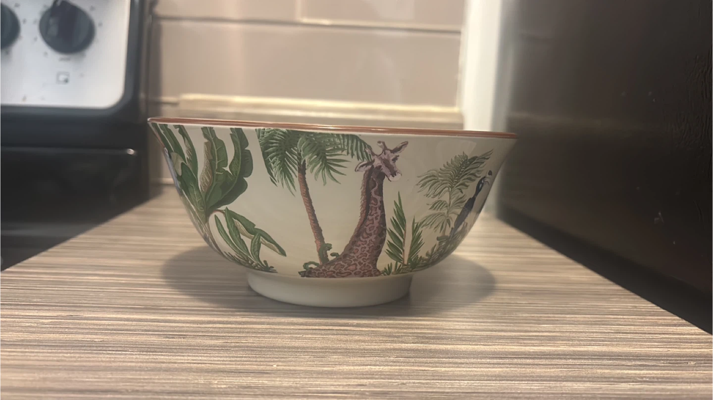 Decorative Ceramic Bowl with Giraffe and Tropical print Set x 4