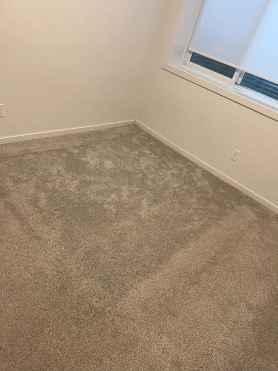 1 bed 1 bath basement at 4741 cawsey terrace Sw - photo 5