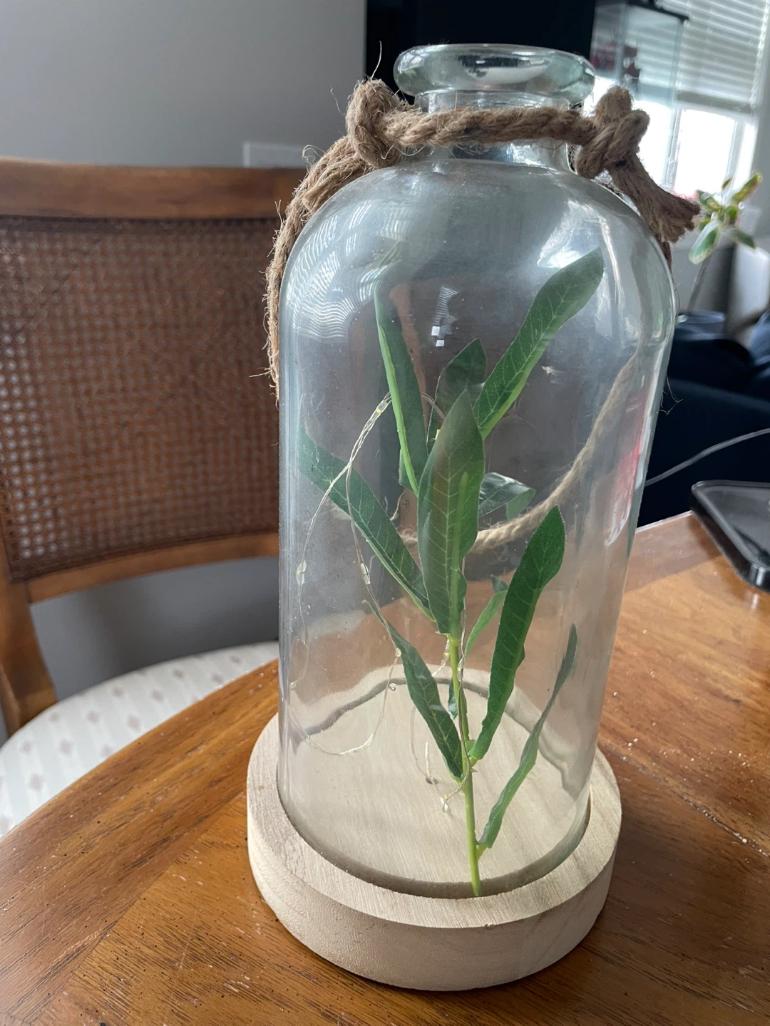 Glass Cloche with Faux Plant and Lights 🧡