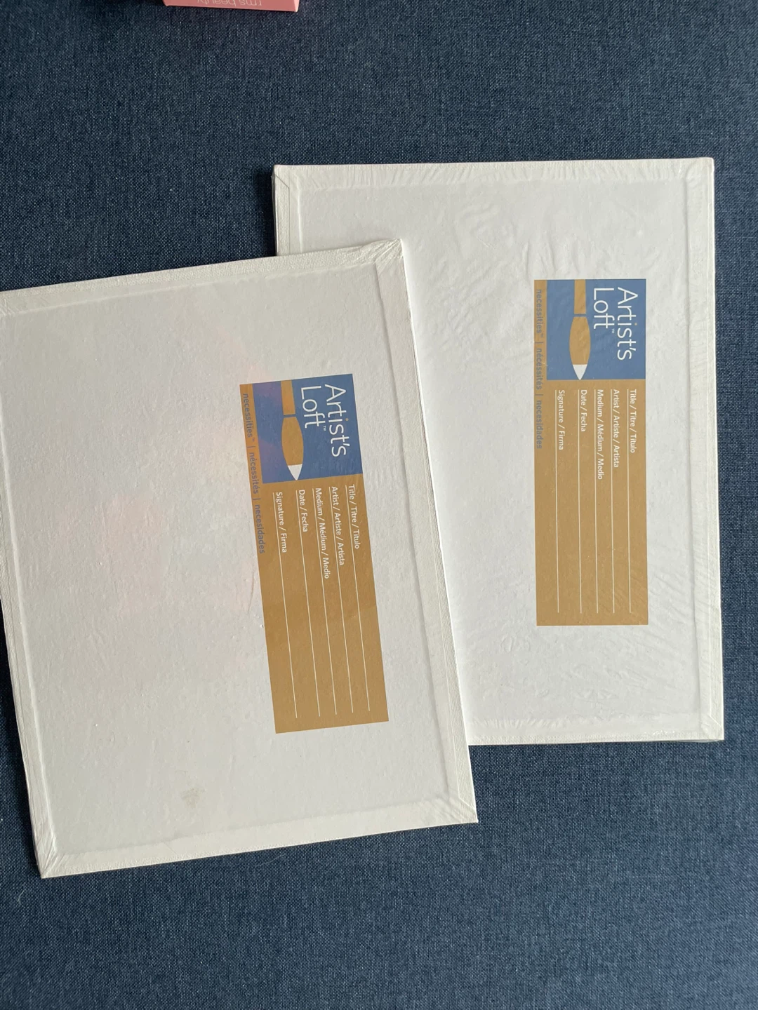 🧡Artist's Loft Blank Canvases (2-Pack)