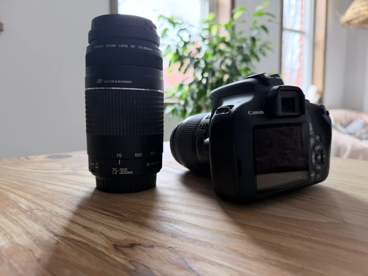 Canon EOS Rebel T5 DSLR Camera with 18-55mm & 75-300mm Lenses - photo 2