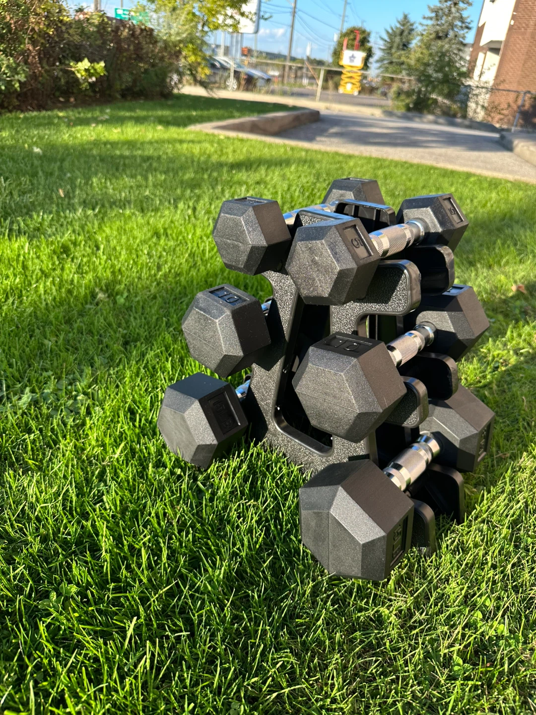🔥Brand New York Dumbbell Set🔥 + York Dumbbell Stand