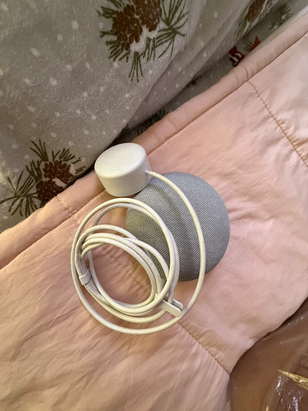 Google nest