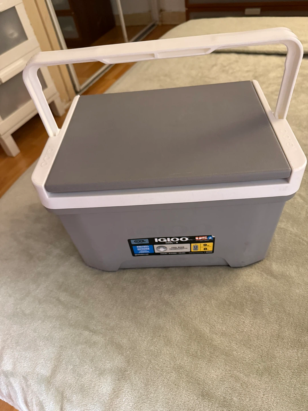 Cooler portable