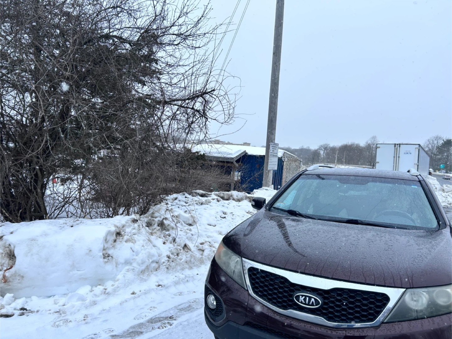 2011 Kia Sorento SUV - photo 5