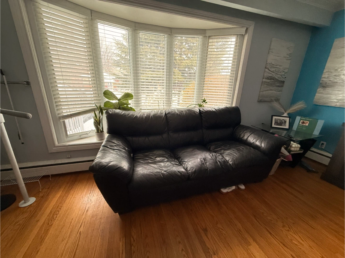 Black Leather Sofa duo