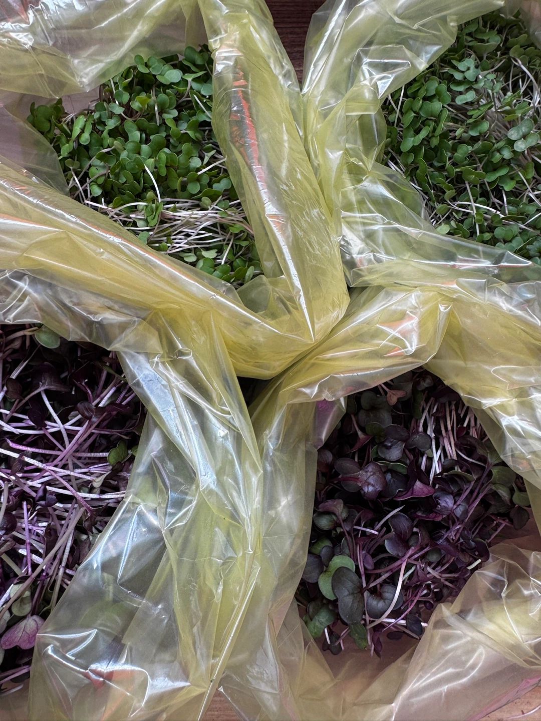 Local Microgreens Farmer - photo 5