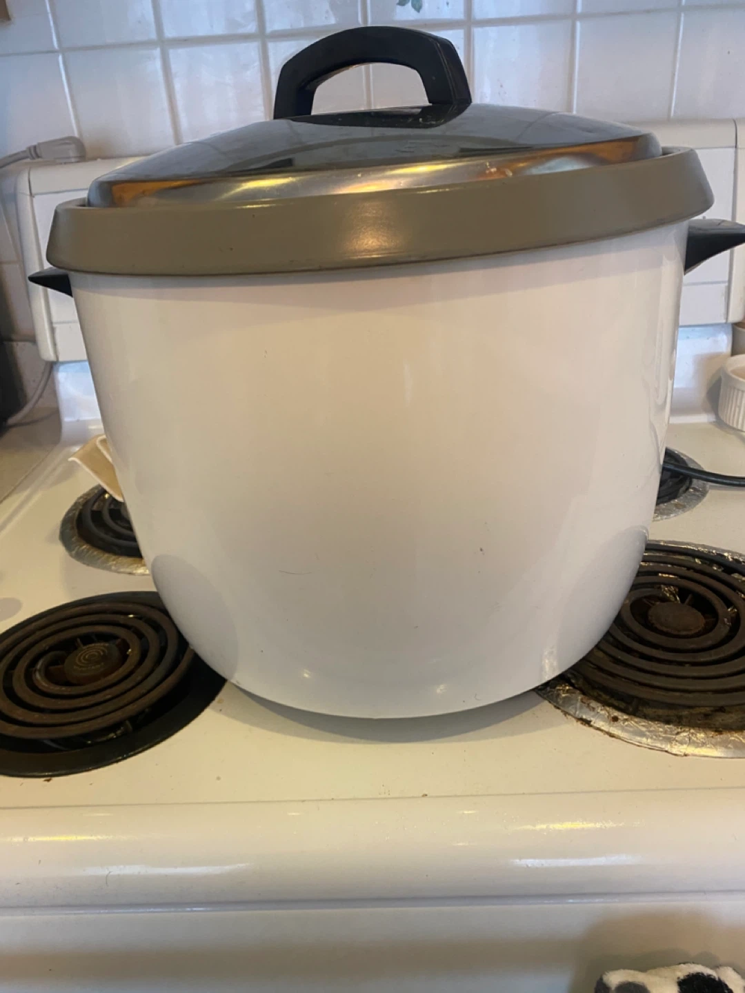 Commercial Rice Cooker - photo 2