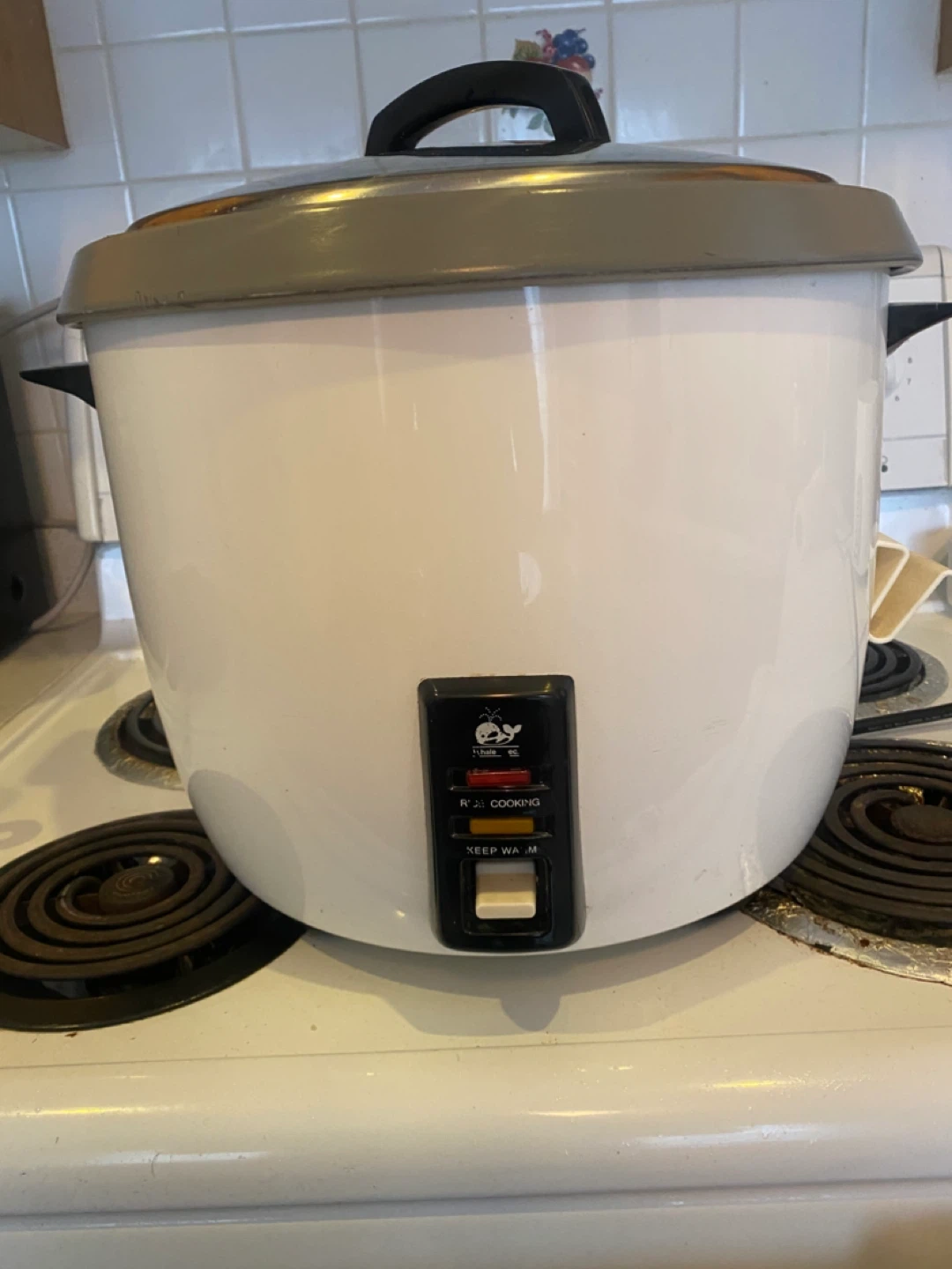Commercial Rice Cooker