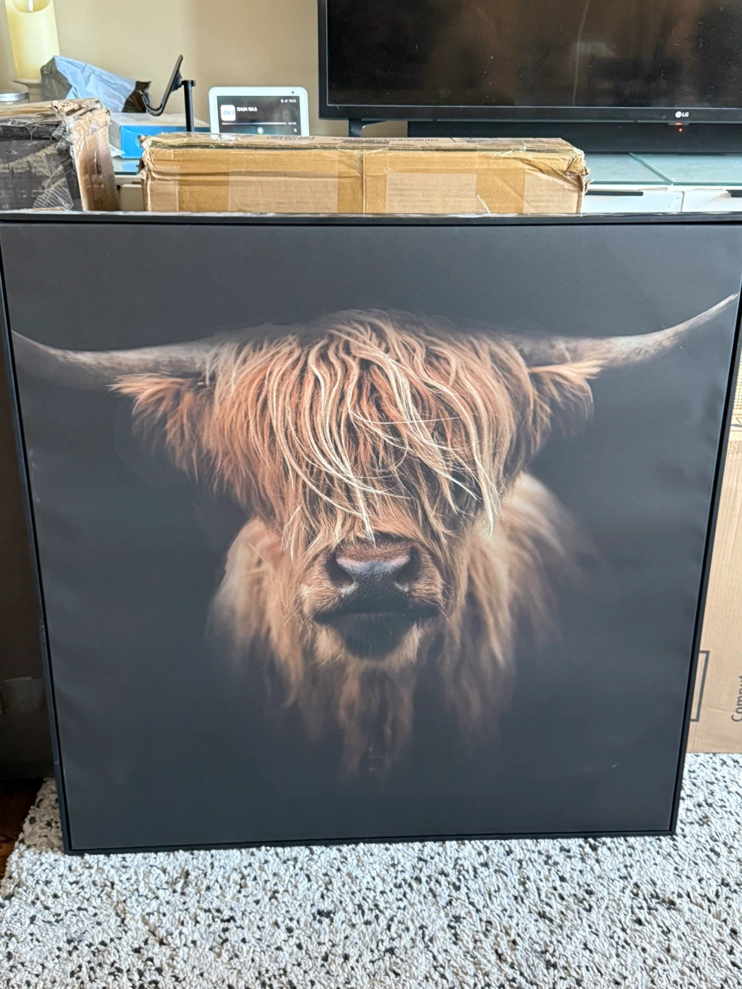 Highland Cow Framed Wall Art
