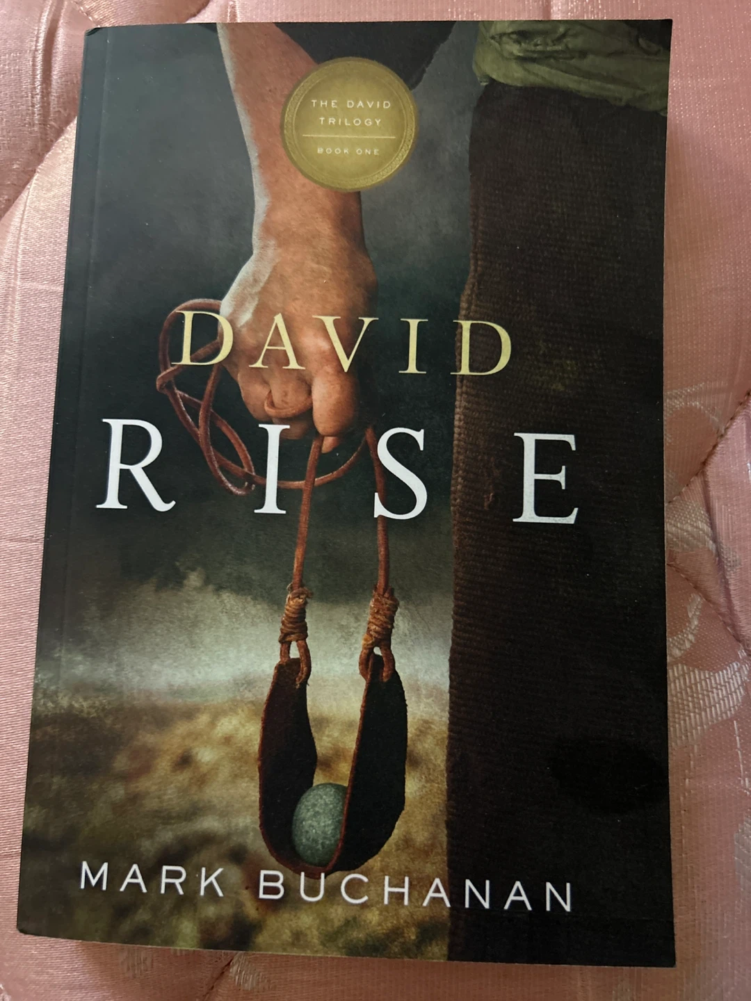 David Rise Book One by Mark Buchanan
