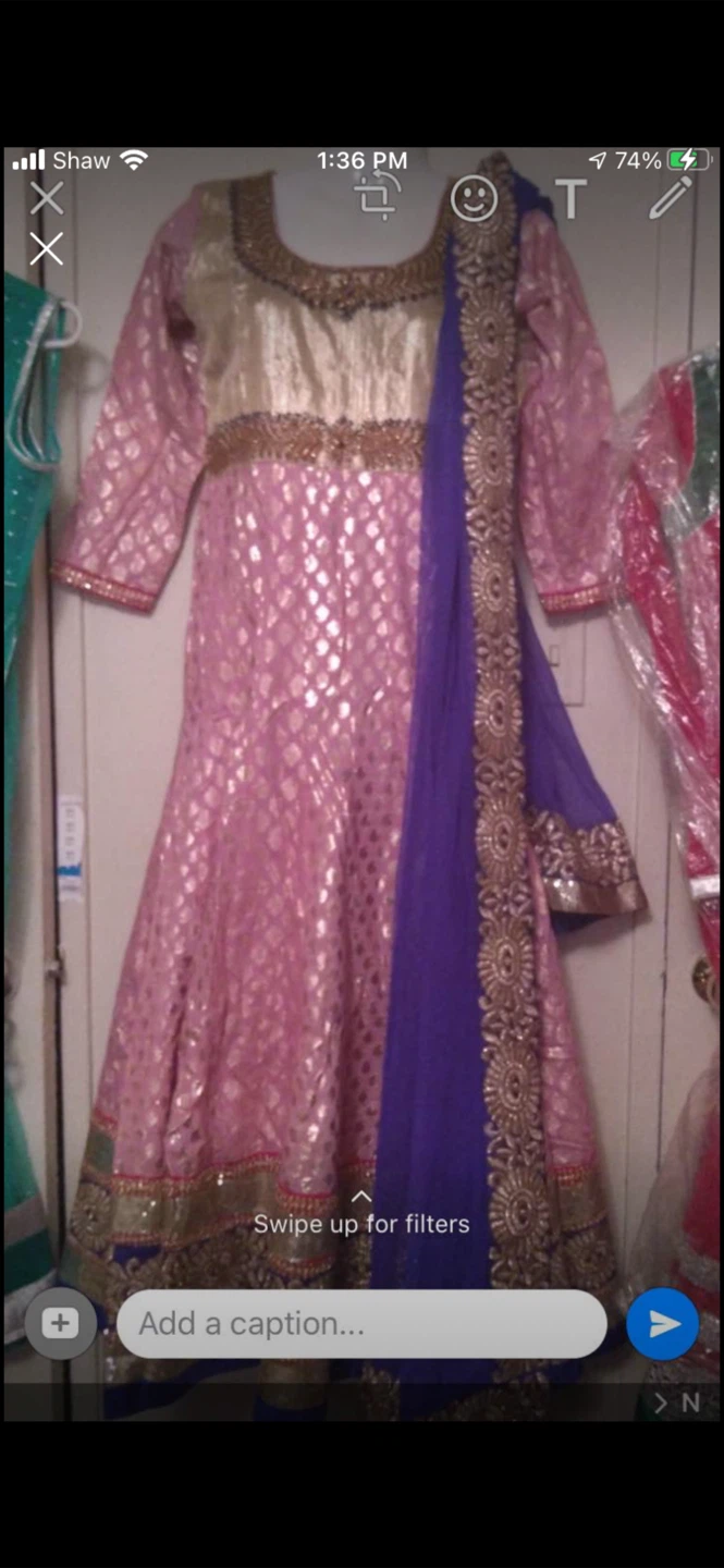 Beautiful Indian and Pakistani 3 piece suit