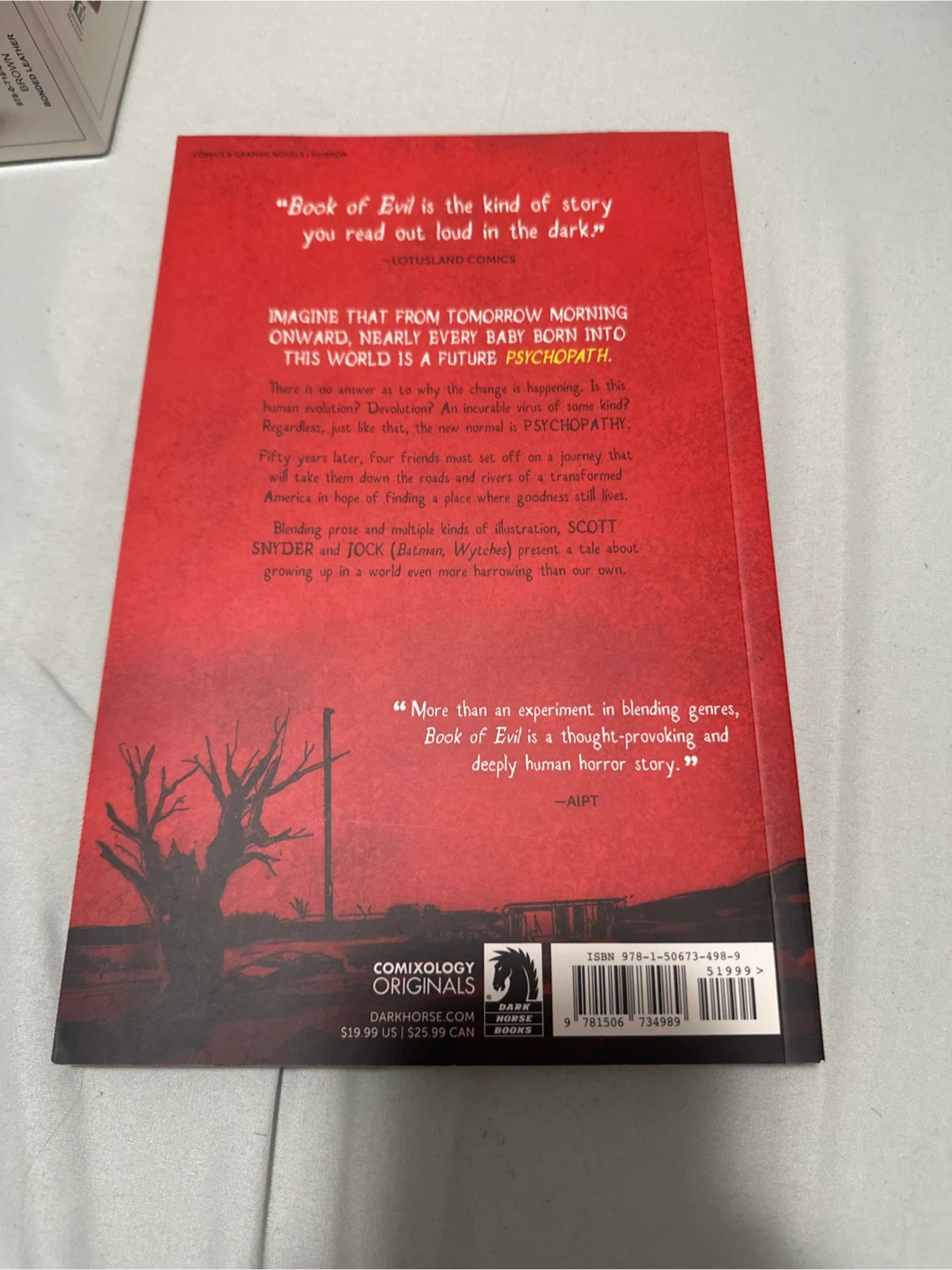 Book of Evil Graphic Novel by Scott Snyder and Jock - photo 2