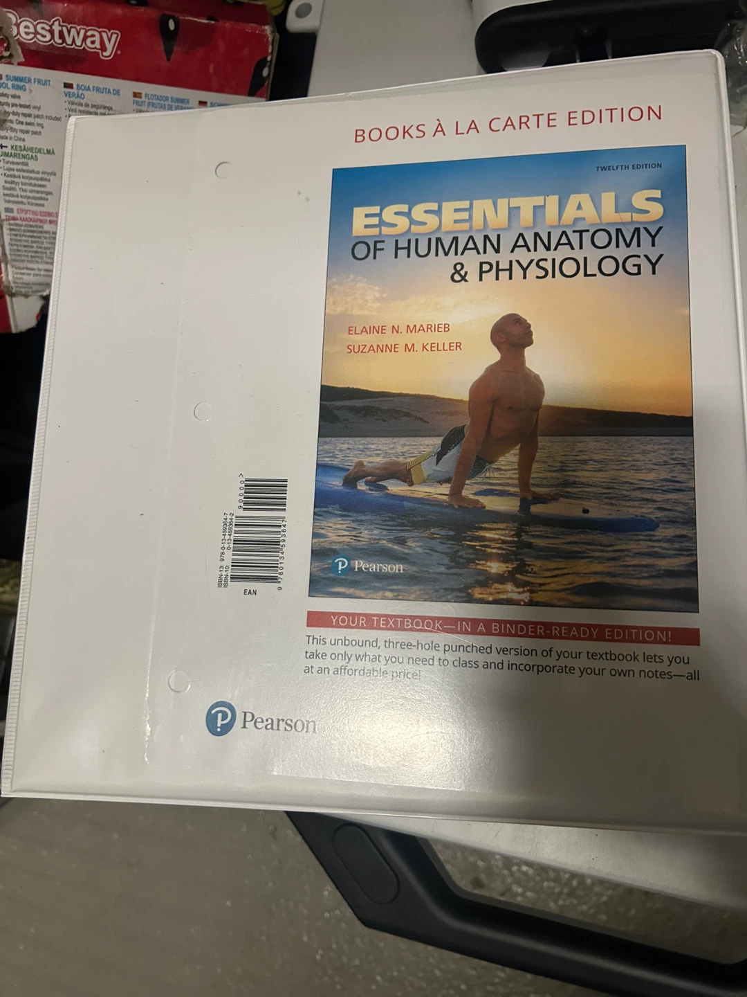 Essentials of Human Anatomy & Physiology 12th Edition