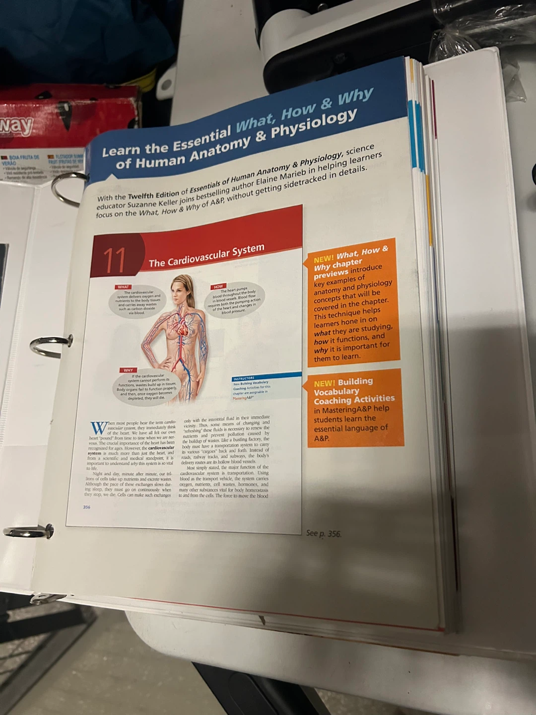 Essentials of Human Anatomy & Physiology 12th Edition - photo 2
