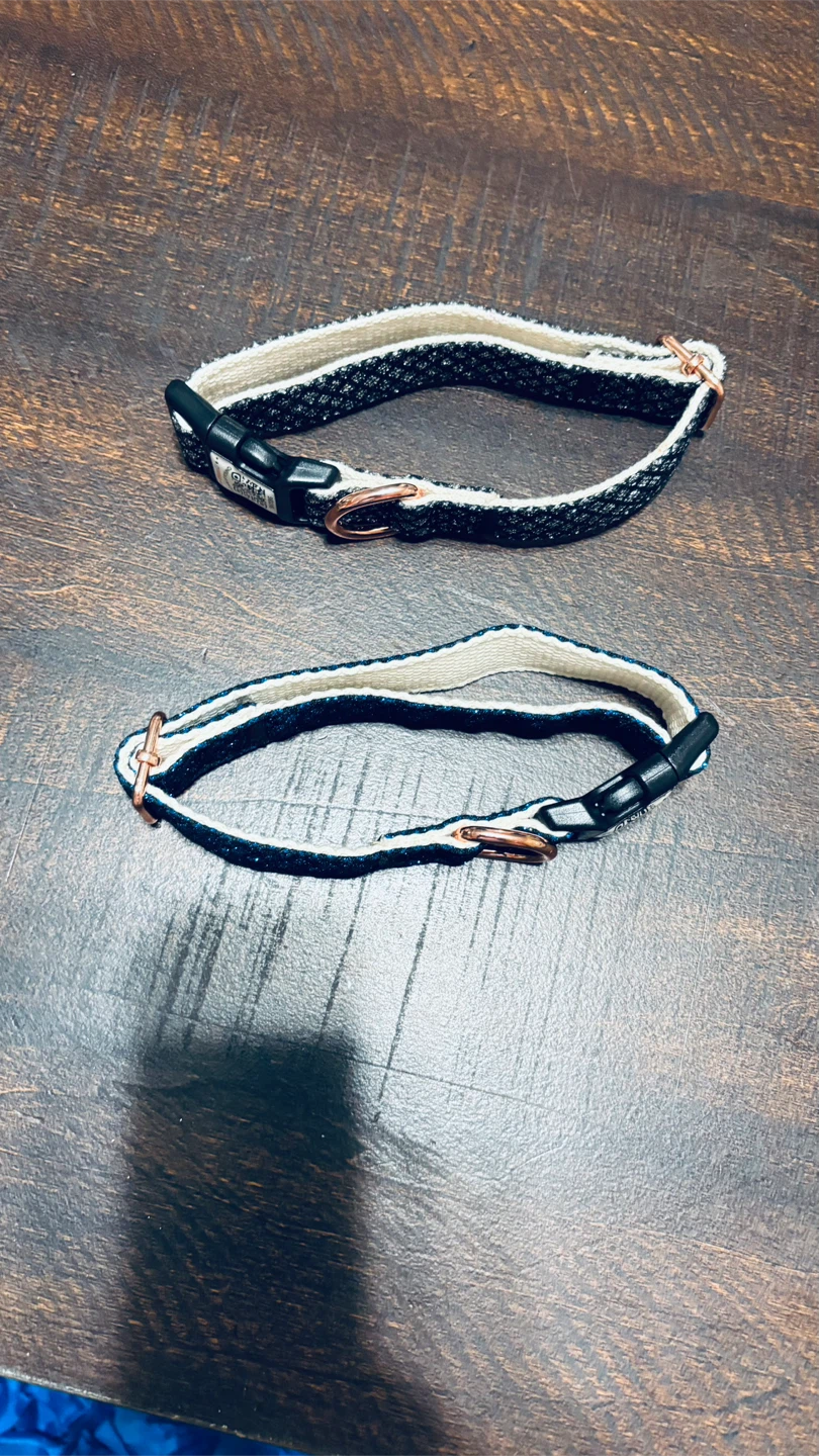 Sparkly Dog Collars (Set of 2) - photo 3