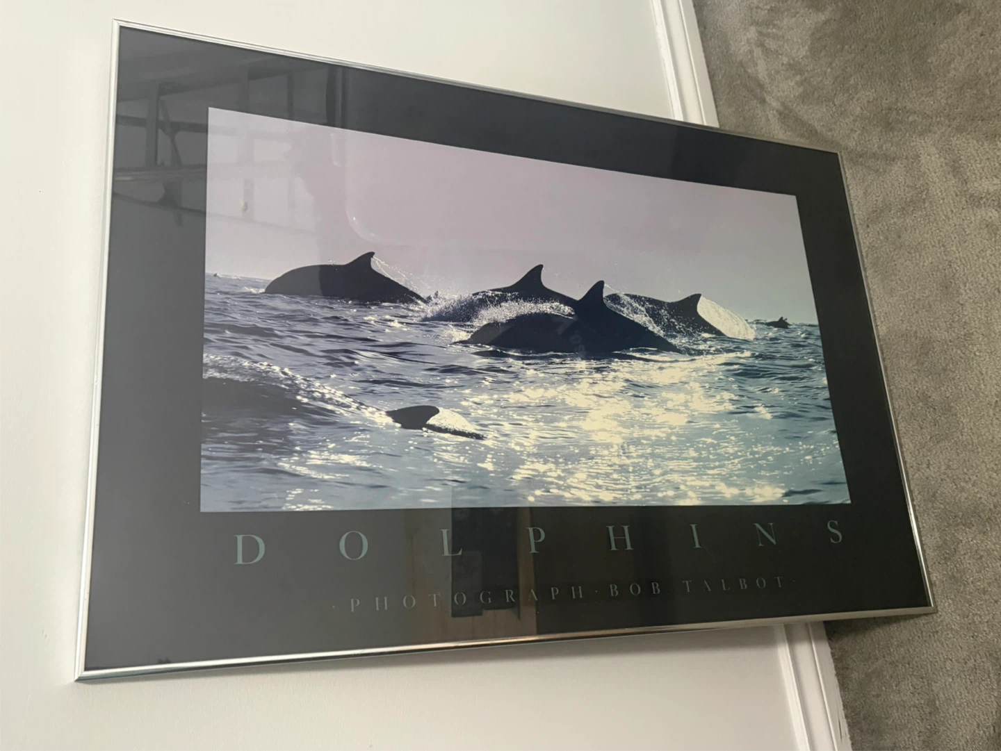 Framed Dolphin Art Prints - photo 2