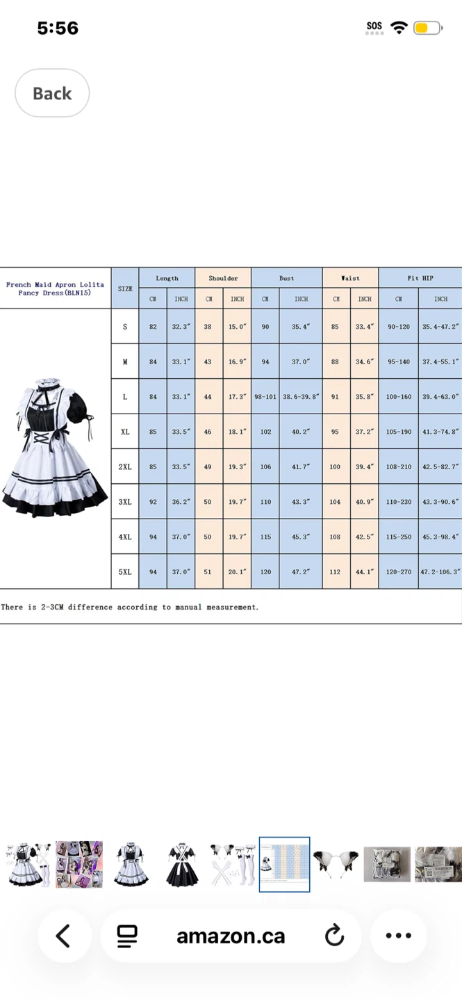 French Maid Apron Lolita Fancy Dress Costume Set - photo 5