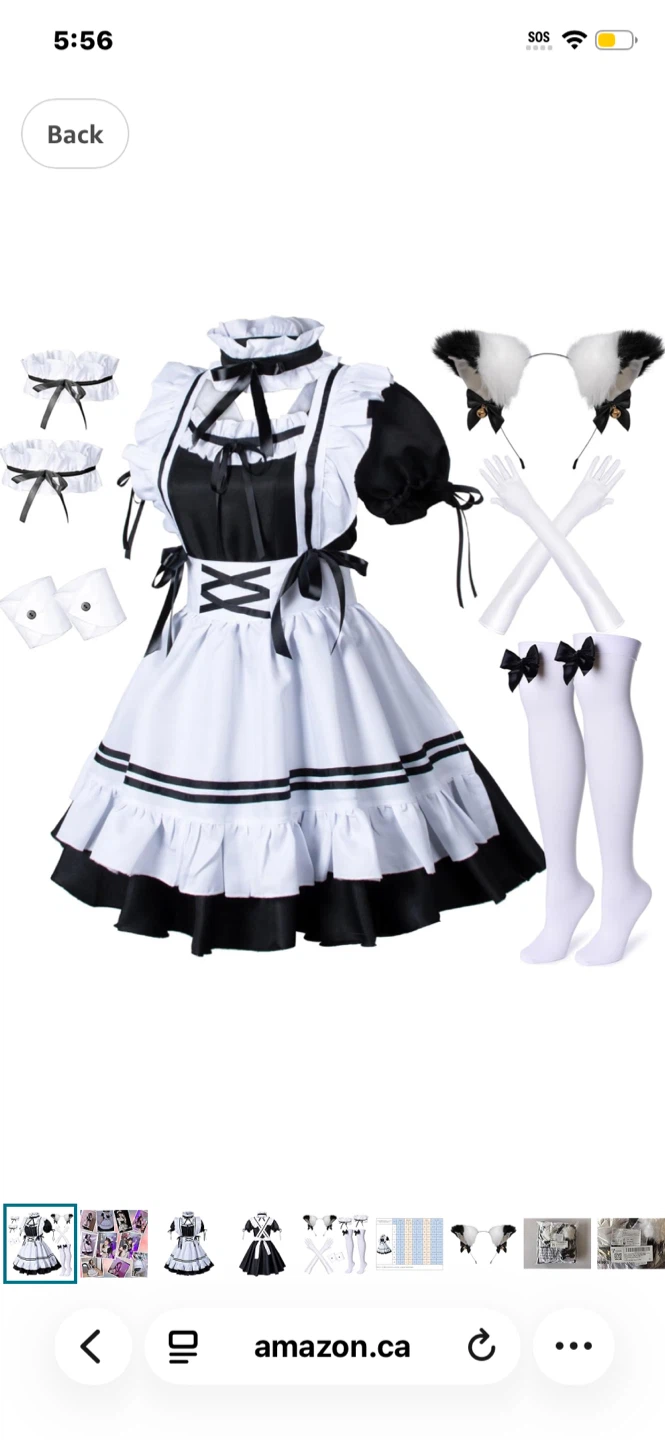 French Maid Apron Lolita Fancy Dress Costume Set