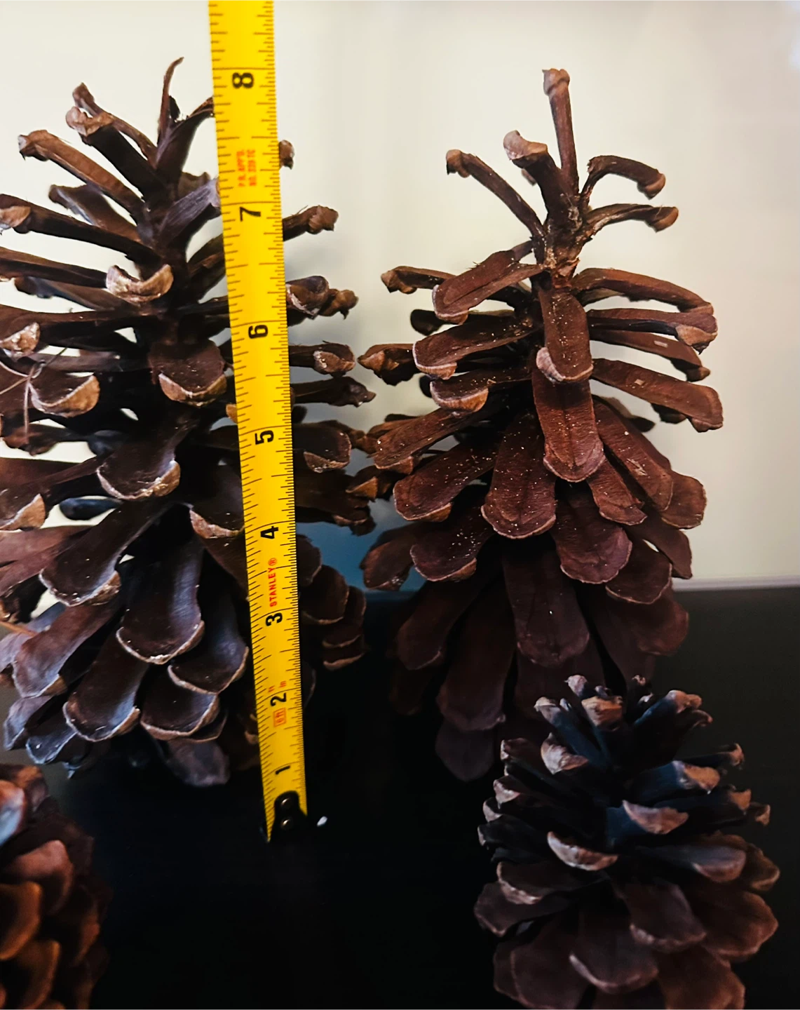 Assorted Natural Pine Cones - photo 2