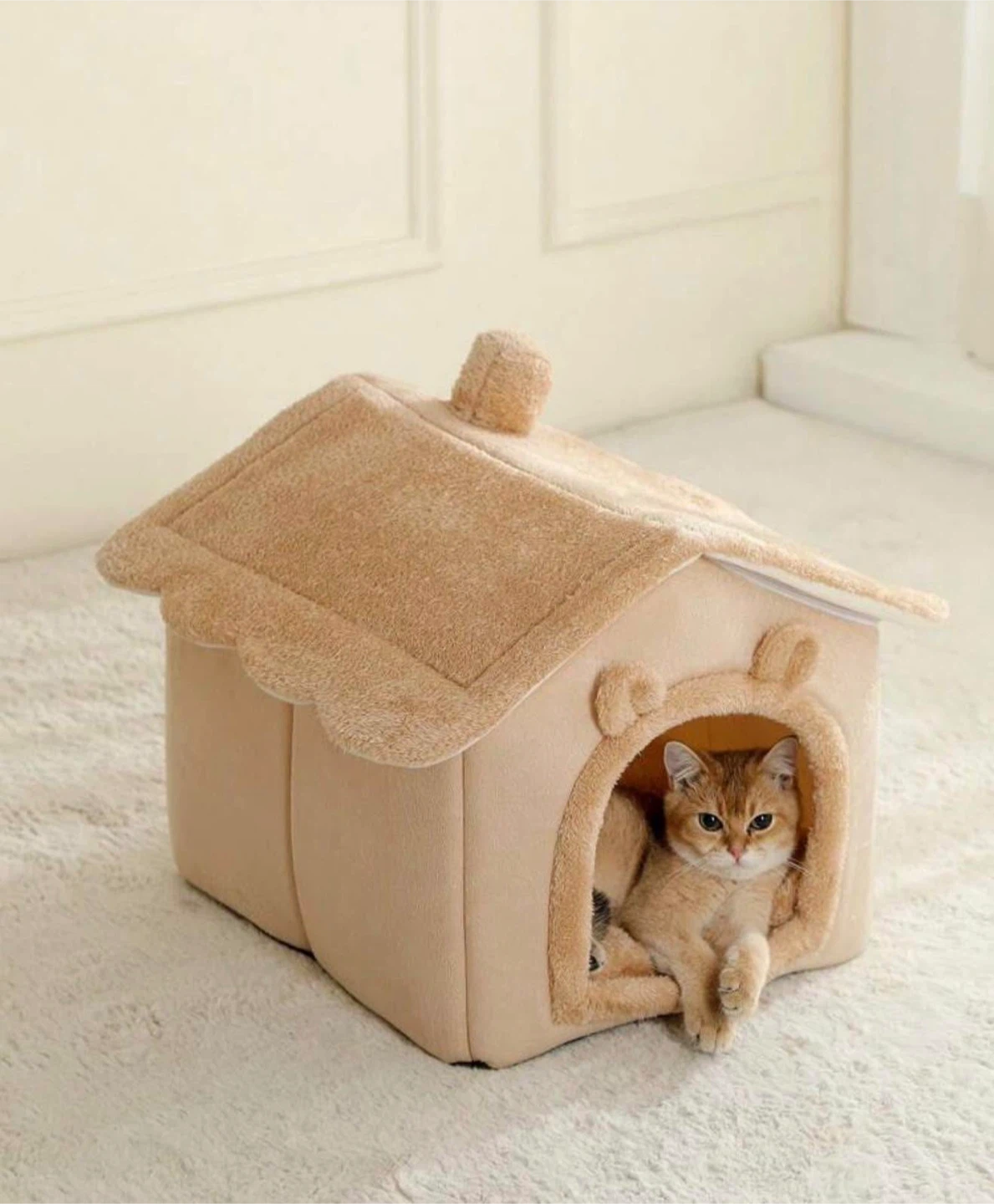 Large Dog or Cat House
