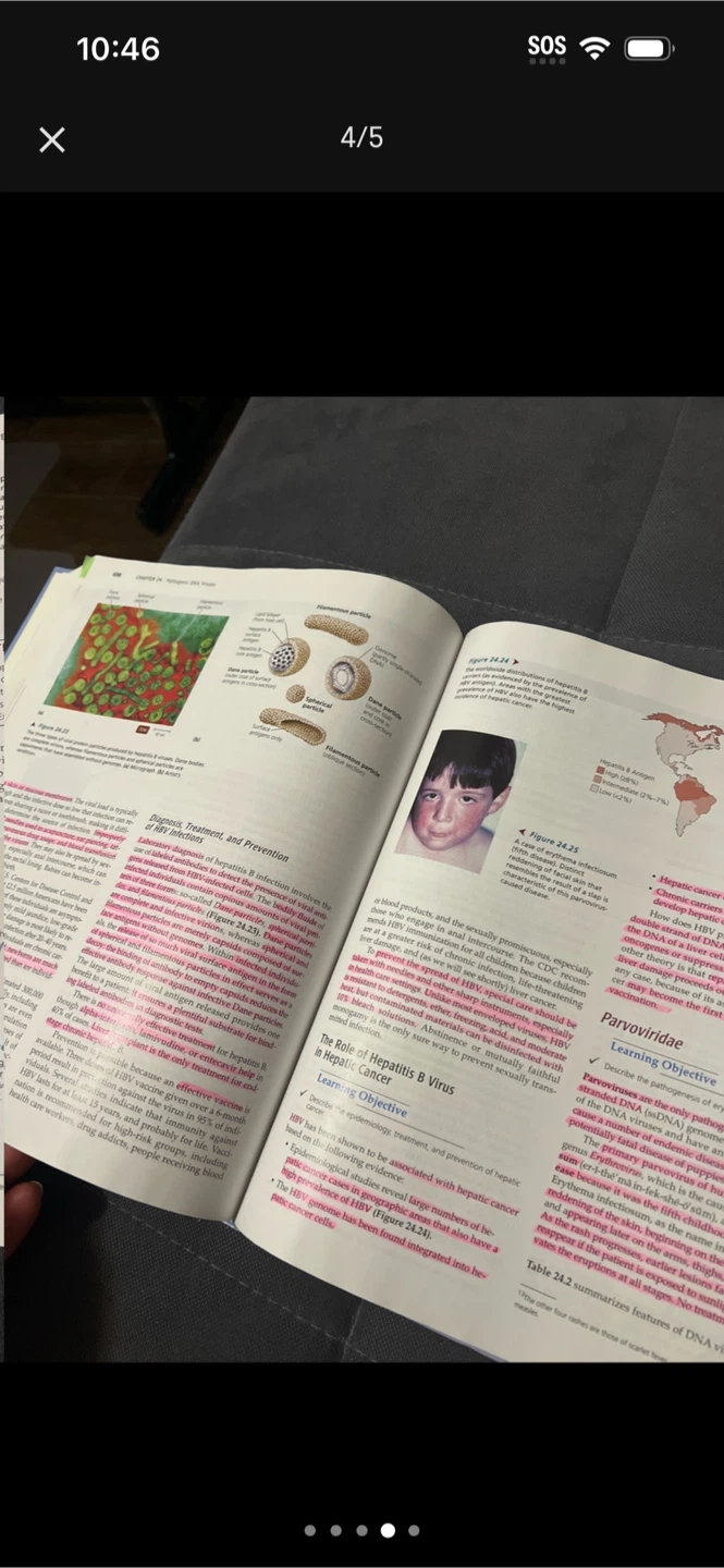 Microbiology with Diseases by Taxonomy, Second Edition Textbook - photo 5
