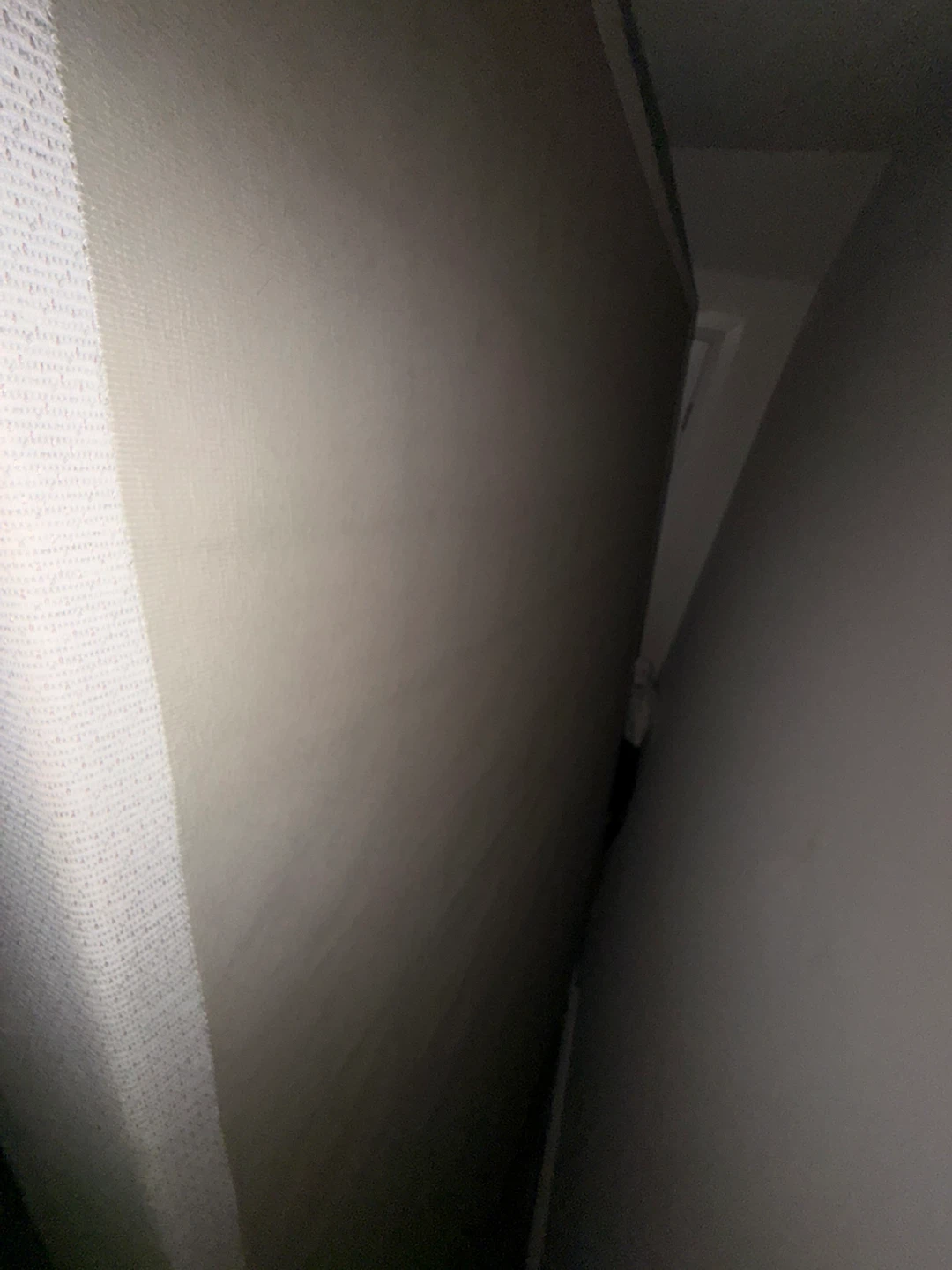 Queen Size Bed Frame (metal legs) and box spring - photo 3