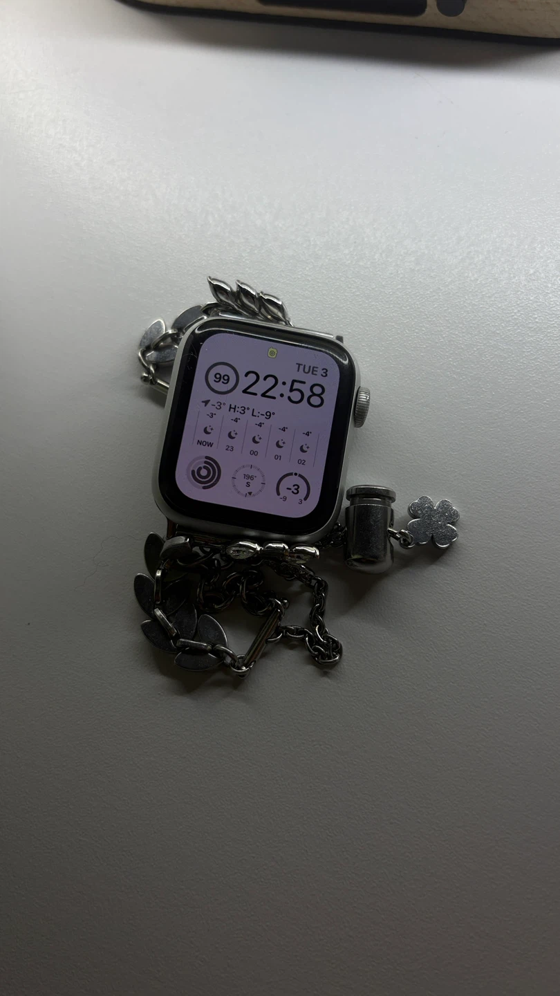 Apple Watch SE with Fashionable Band + Starlight band