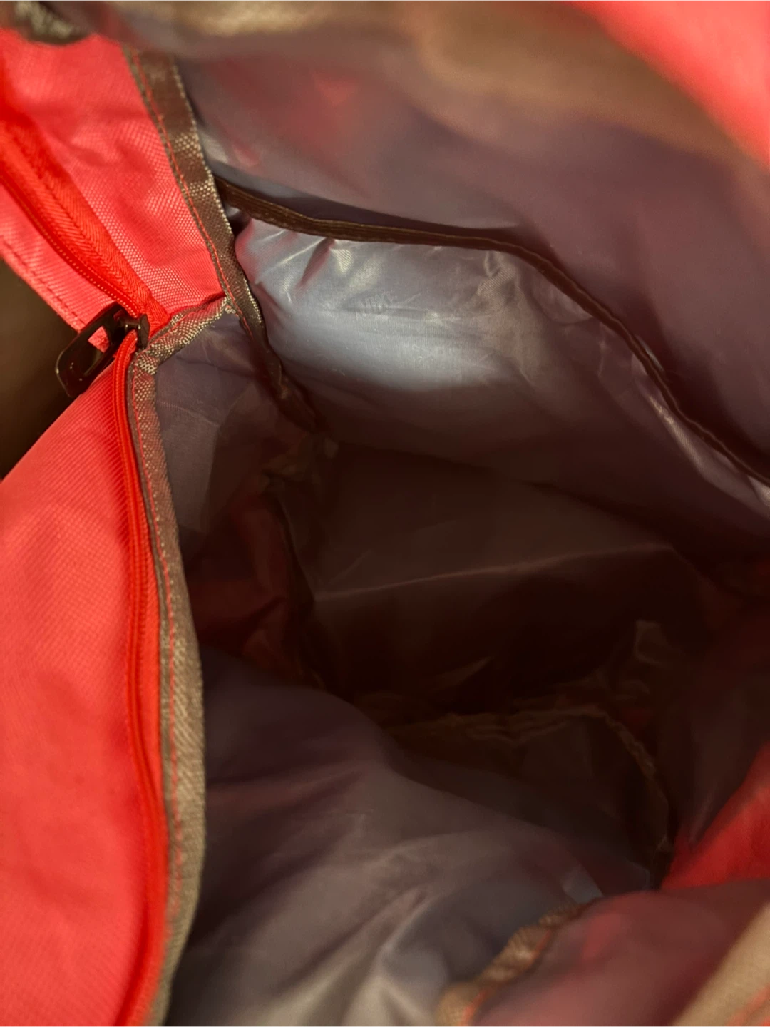 Pink Nike Backpack - photo 2