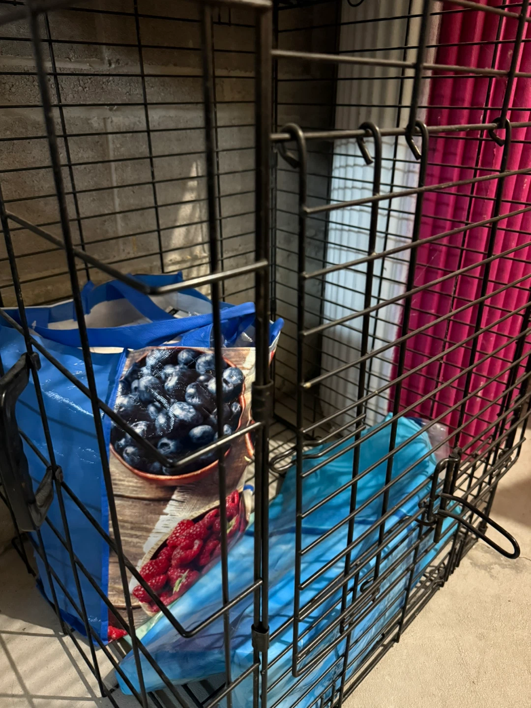 Wire Dog Crate - photo 2