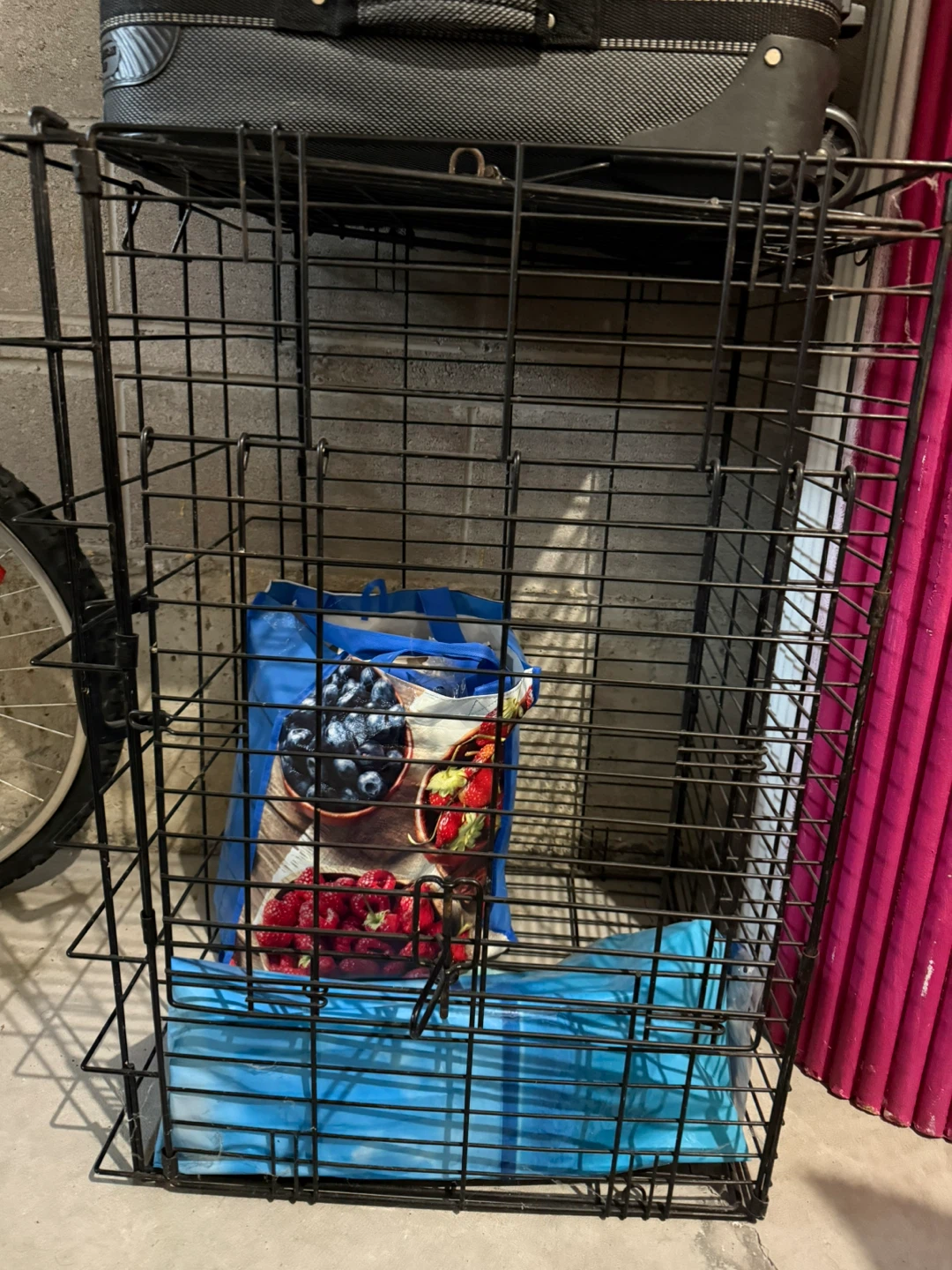 Wire Dog Crate - photo 3