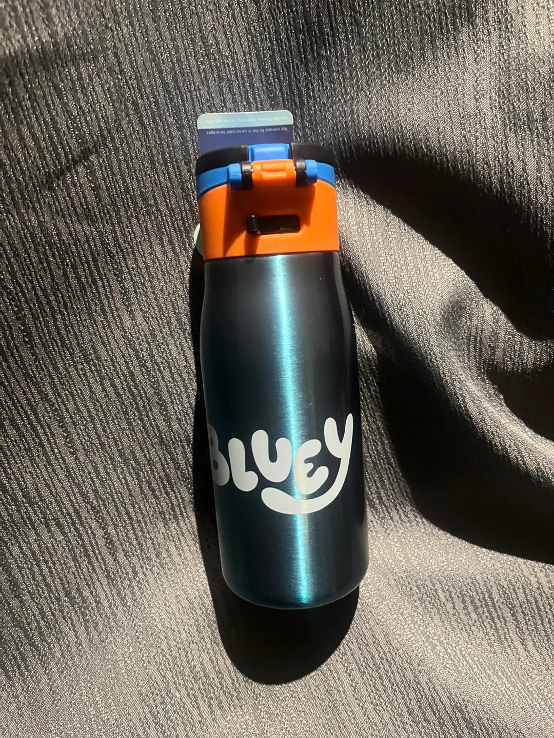 Bluey Stainless Steel Water Bottle