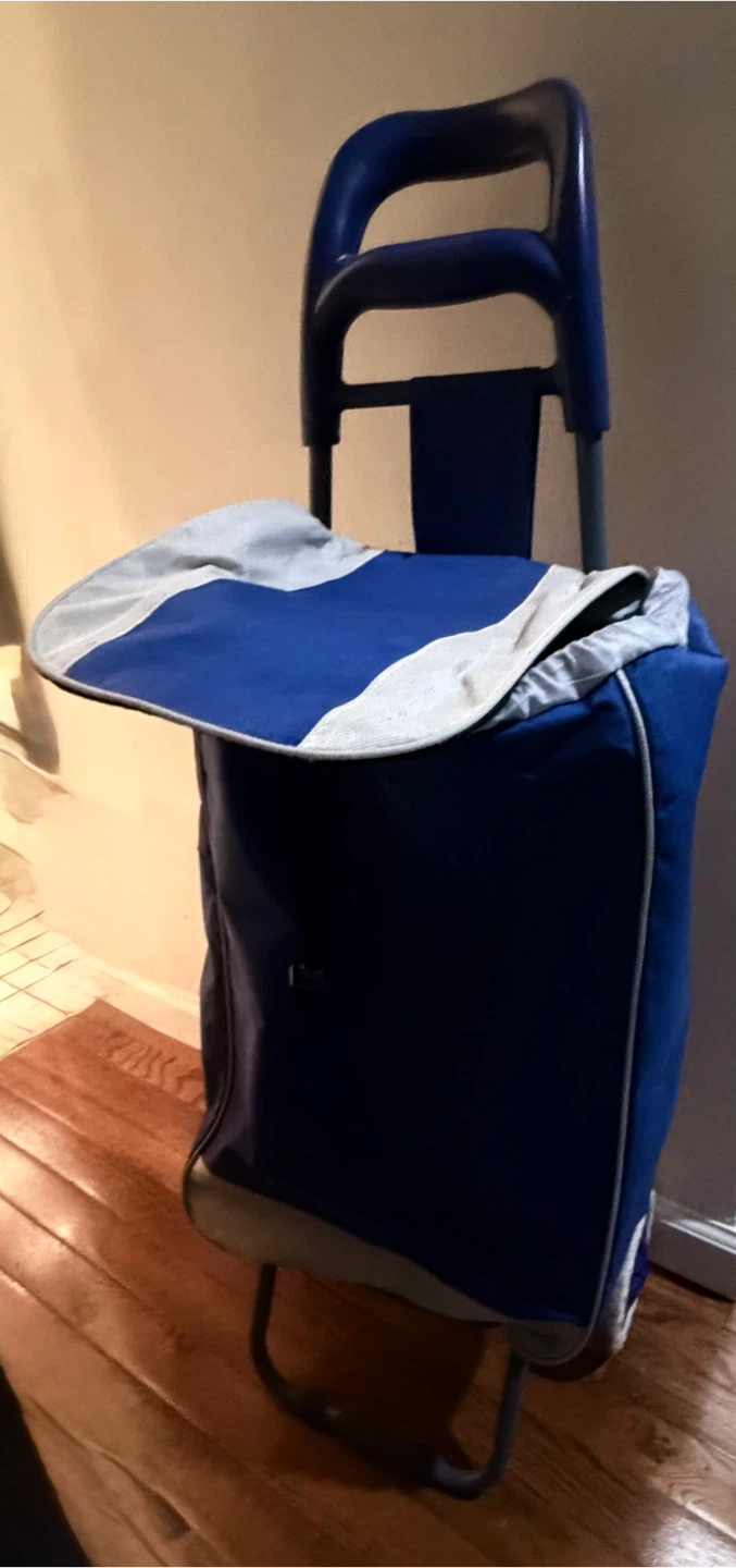 🧡Blue Rolling Shopping Cart Trolley - photo 3