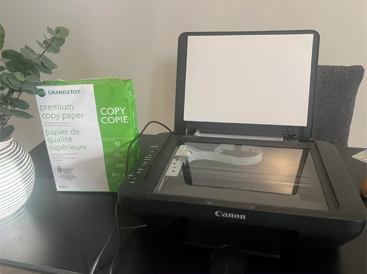 Canon All-in-One Printer + Paper