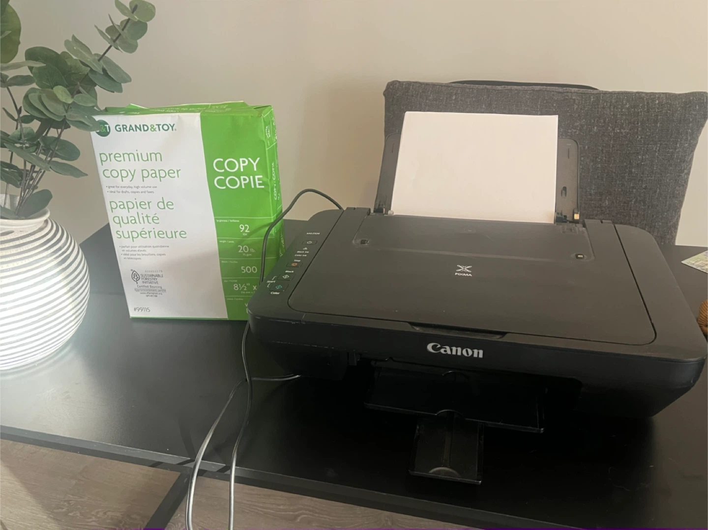 Canon All-in-One Printer + Paper - photo 2
