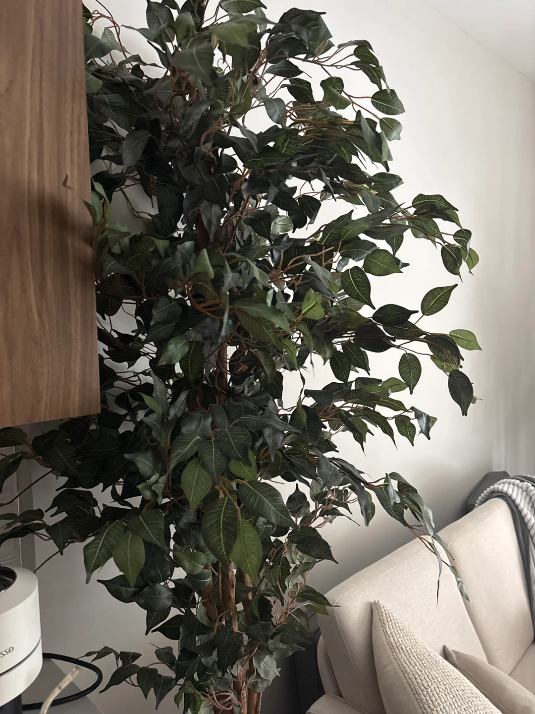 Artificial Ficus Tree - photo 3