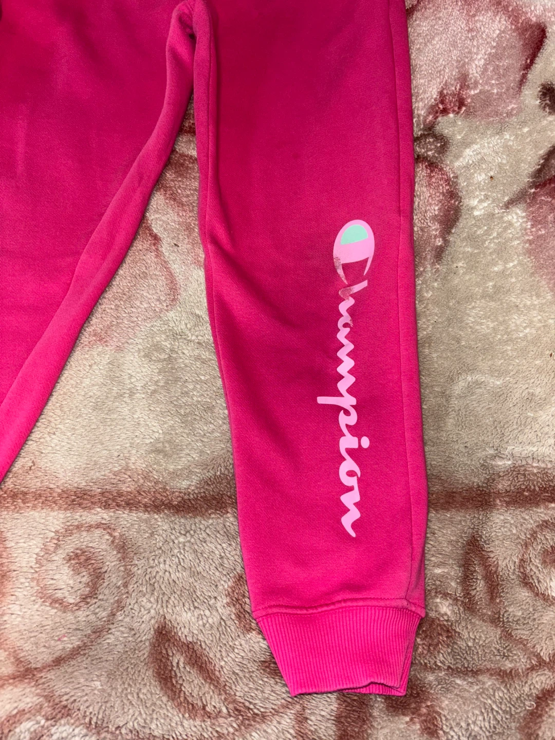 Champion Pink Hoodie and Jogger Set Kids Size 12 - photo 2