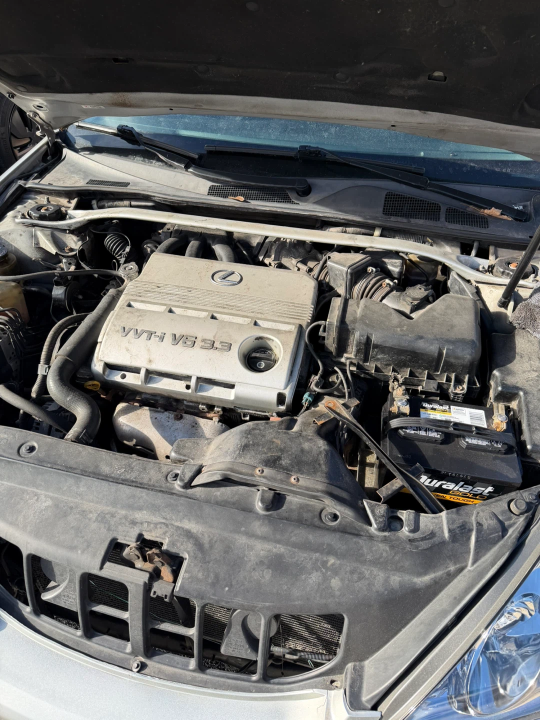 Lexus ES 330 Sedan - photo 3